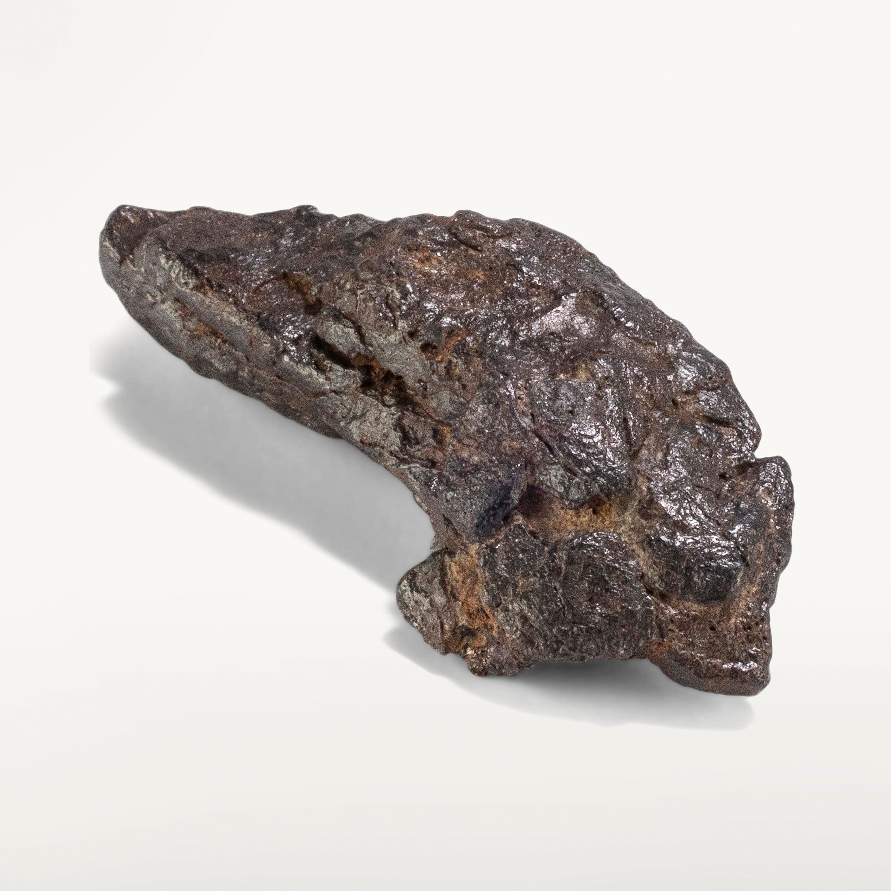 Kalifano Meteorites Sericho Iron Meteorite discovered in Kenya - 25 grams MTCHO500