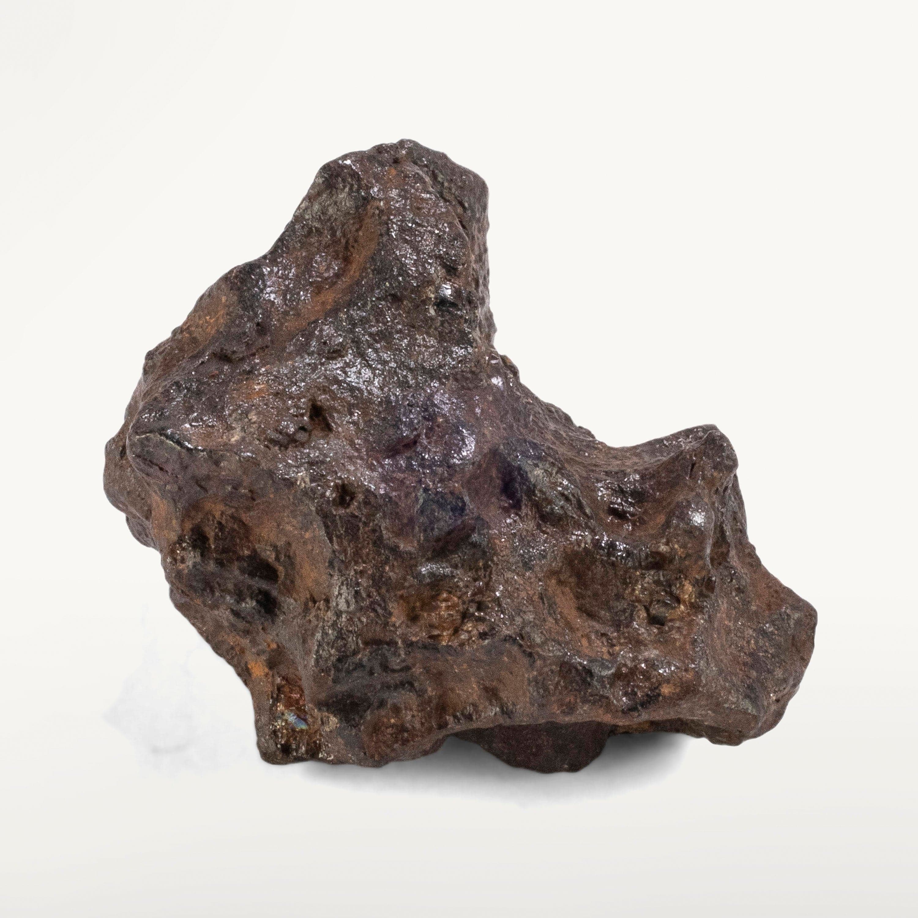 Kalifano Meteorites Sericho Iron Meteorite discovered in Kenya - 52.6 grams MTCHO1000.005