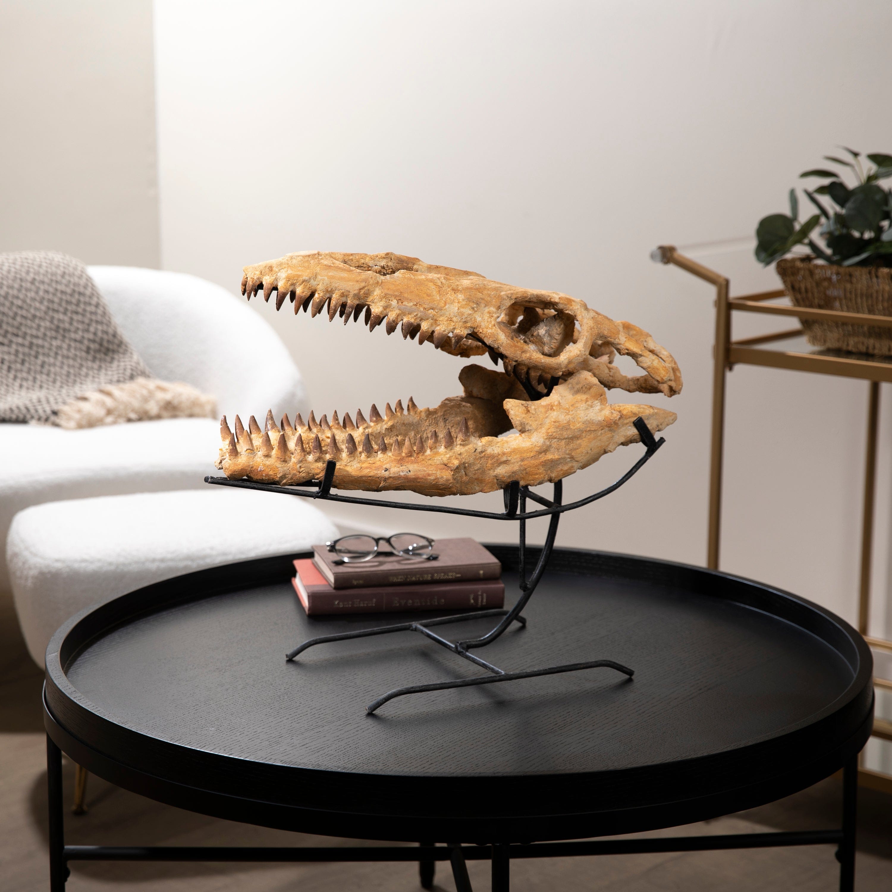 Kalifano Mosasaurus Fossils Moroccan Mosasaurus Jaw Fossil  on Custom Stand - 21" MOST32000.003