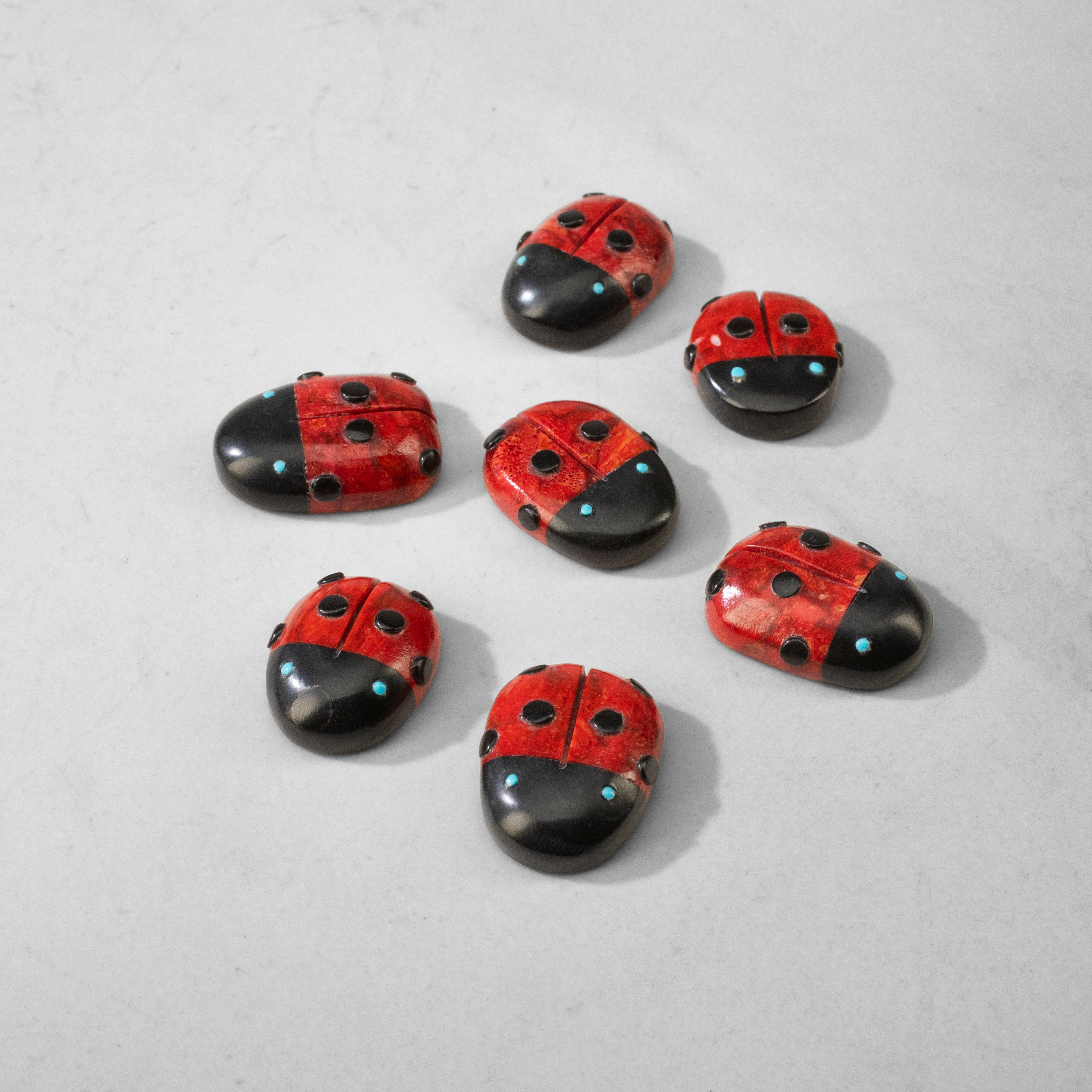 Kalifano Native American Fetish Carvings Georgette Quam Apple Coral Handmade Zuni Fetish Lady Bug Carving NAC180.008