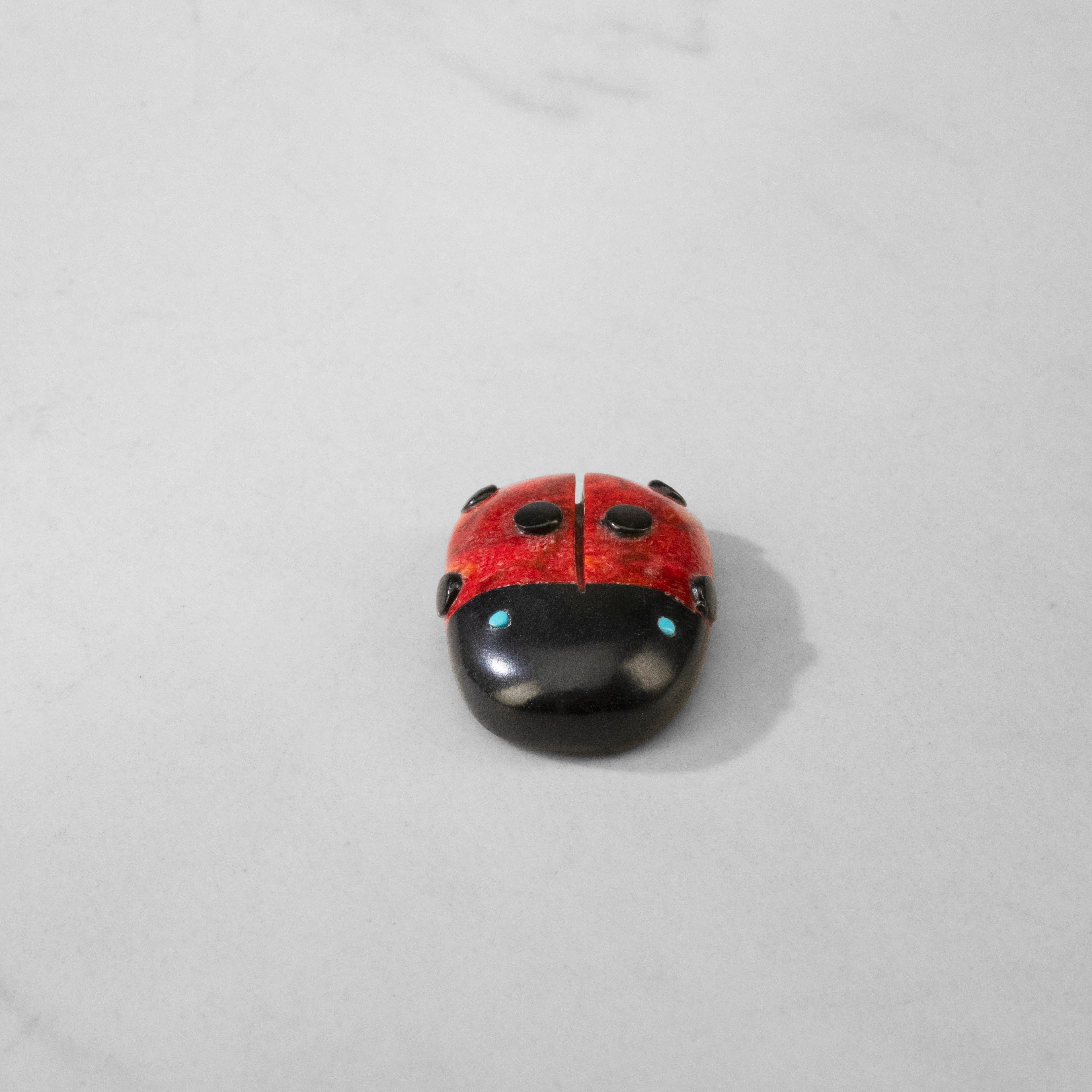 Kalifano Native American Fetish Carvings Georgette Quam Apple Coral Handmade Zuni Fetish Lady Bug Carving NAC180.008