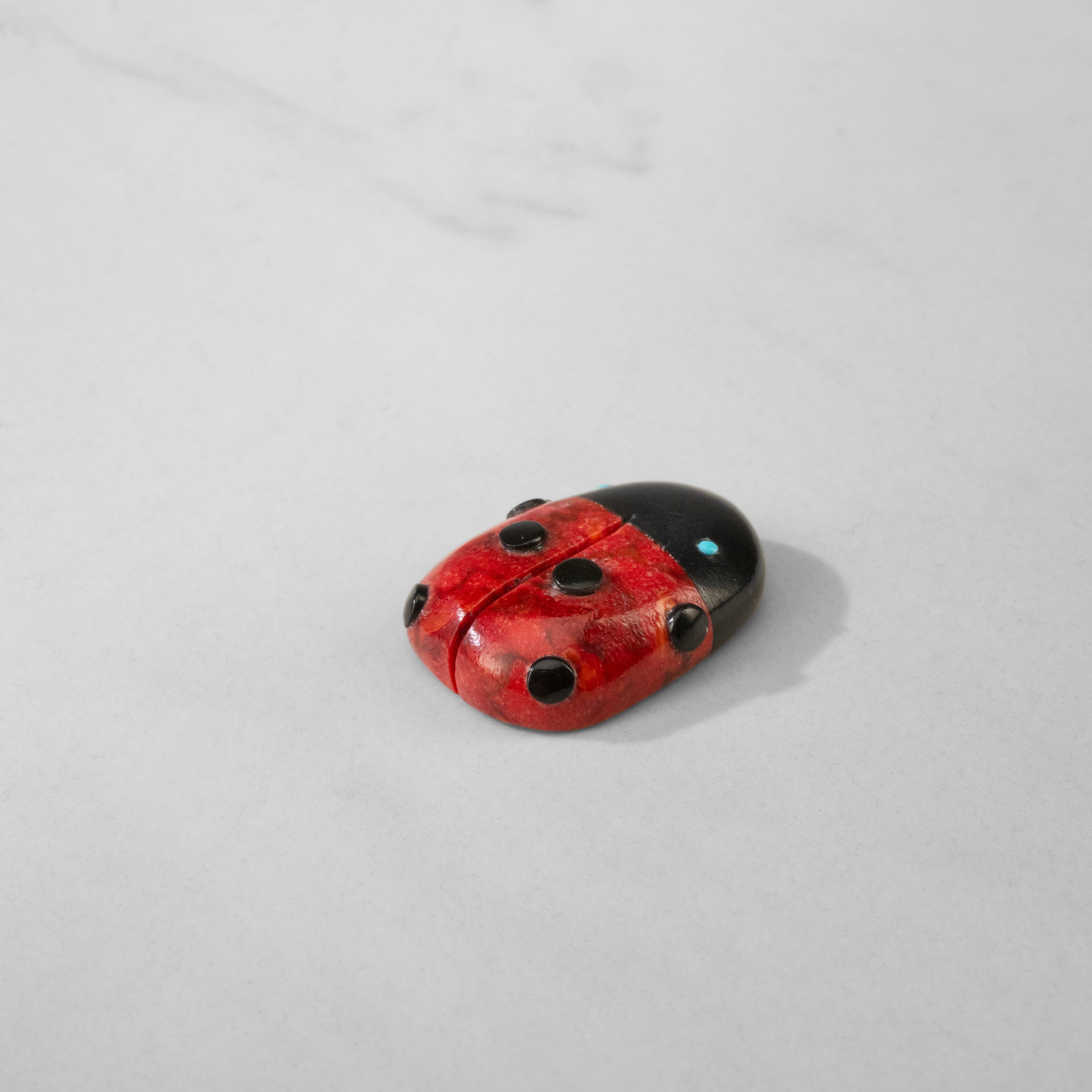 Kalifano Native American Fetish Carvings Georgette Quam Apple Coral Handmade Zuni Fetish Lady Bug Carving NAC180.008