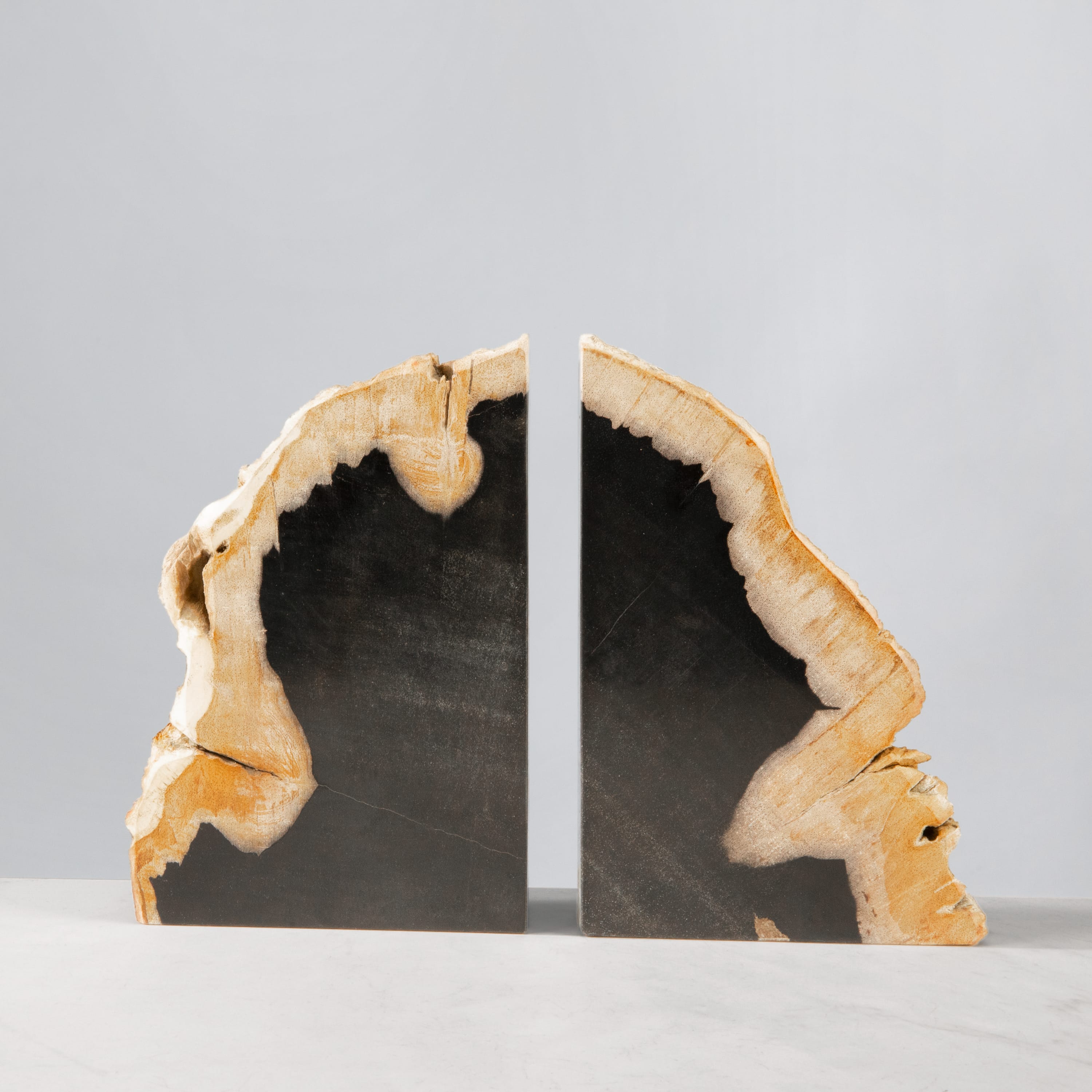 Kalifano Petrified Wood 10" Petrified Wood Bookend Pair PWB250-MIX