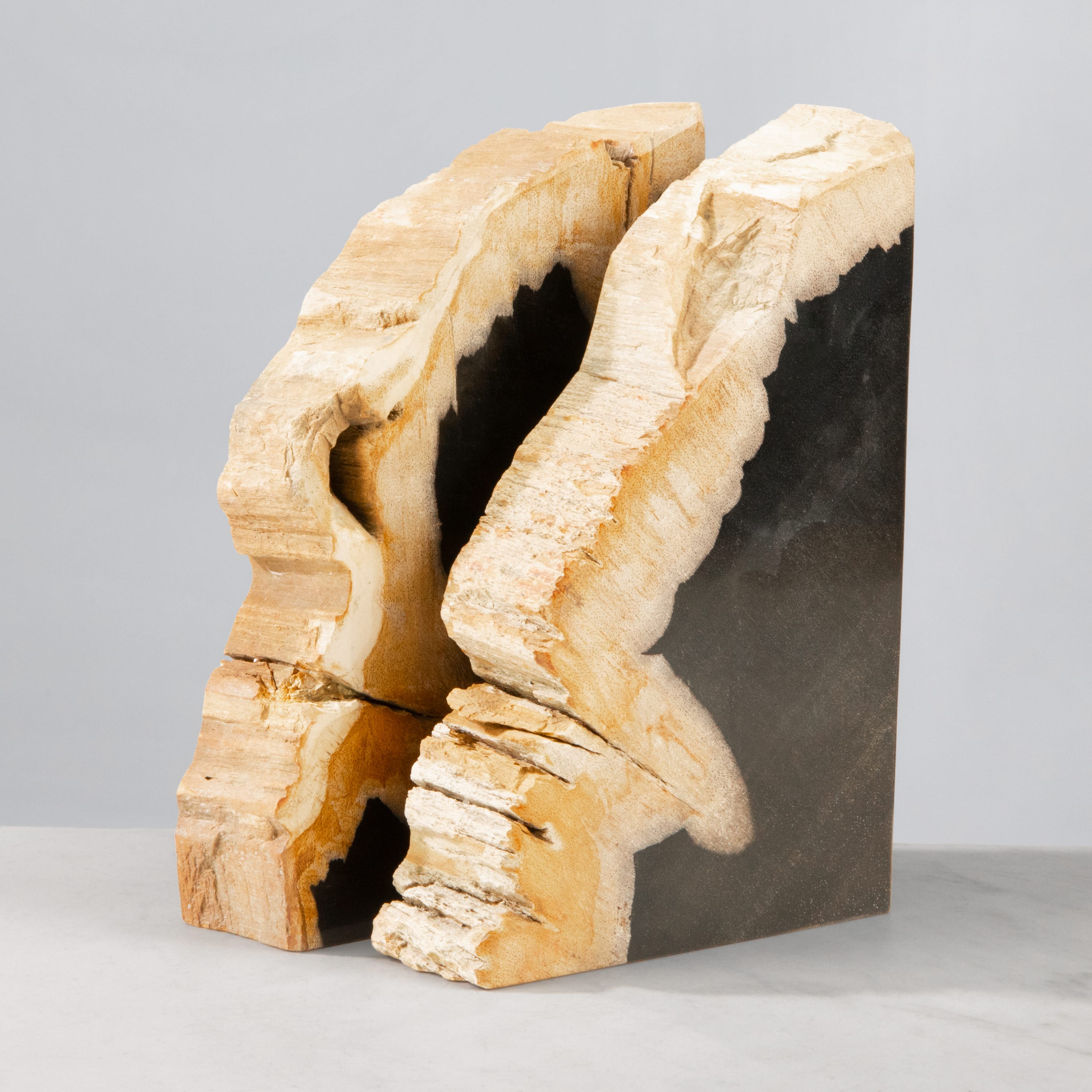 Kalifano Petrified Wood 10" Petrified Wood Bookend Pair PWB250-MIX
