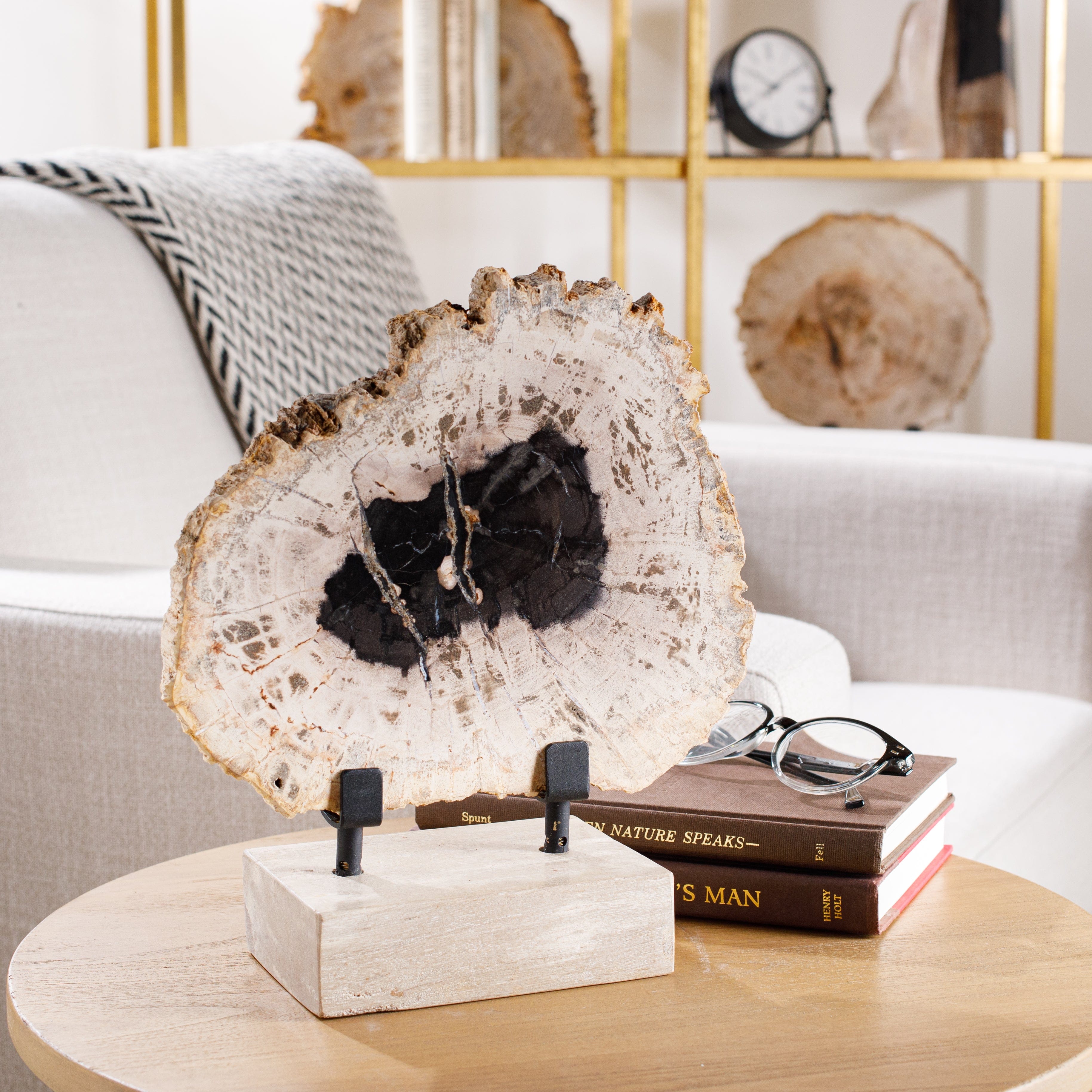 Petrified Wood Decor: Transform Your Space with Timeless Elegance