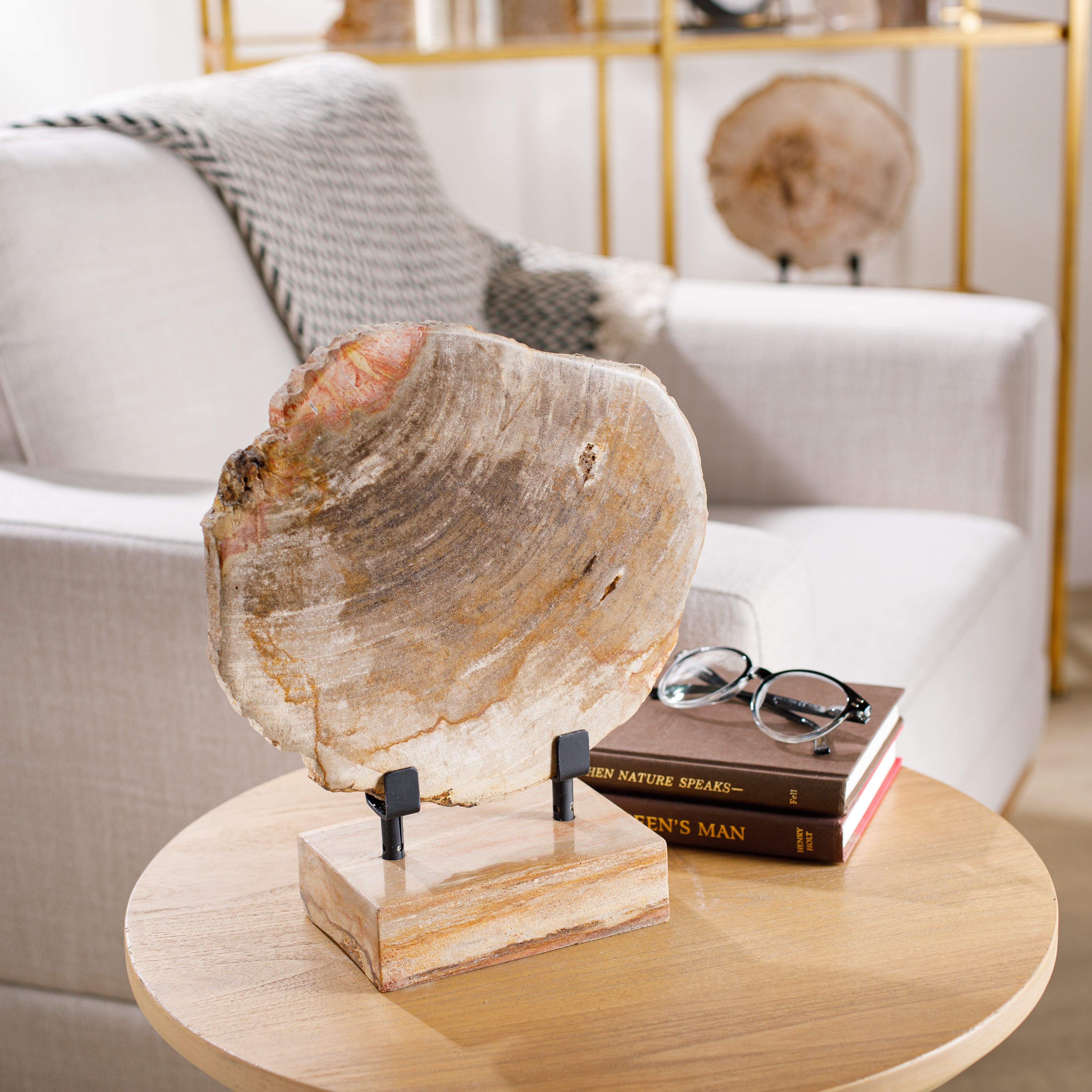 Petrified Wood Decor: Transform Your Space with Timeless Elegance