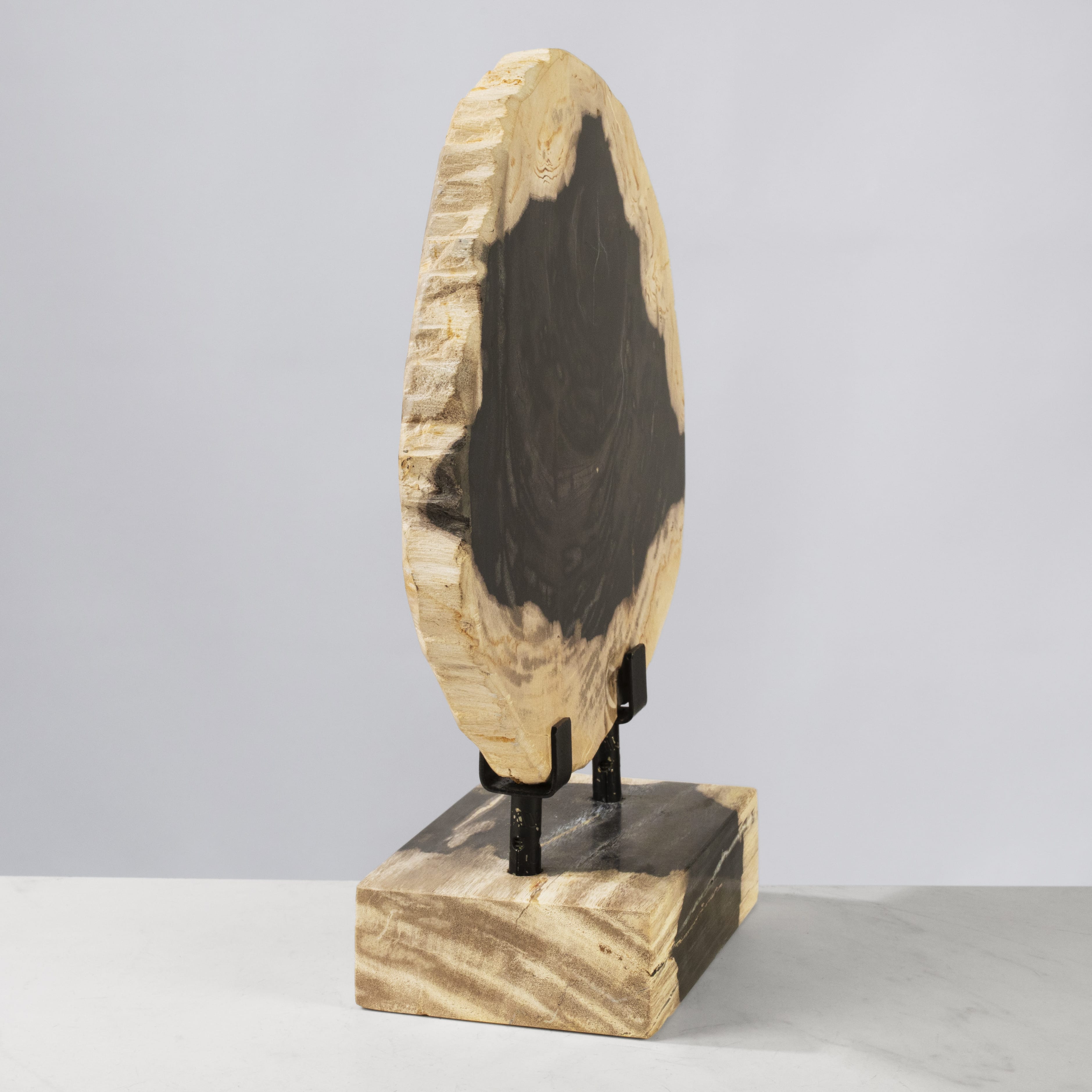 Kalifano Petrified Wood 12" Petrified Wood Slice on Stand PWSS350-MIX