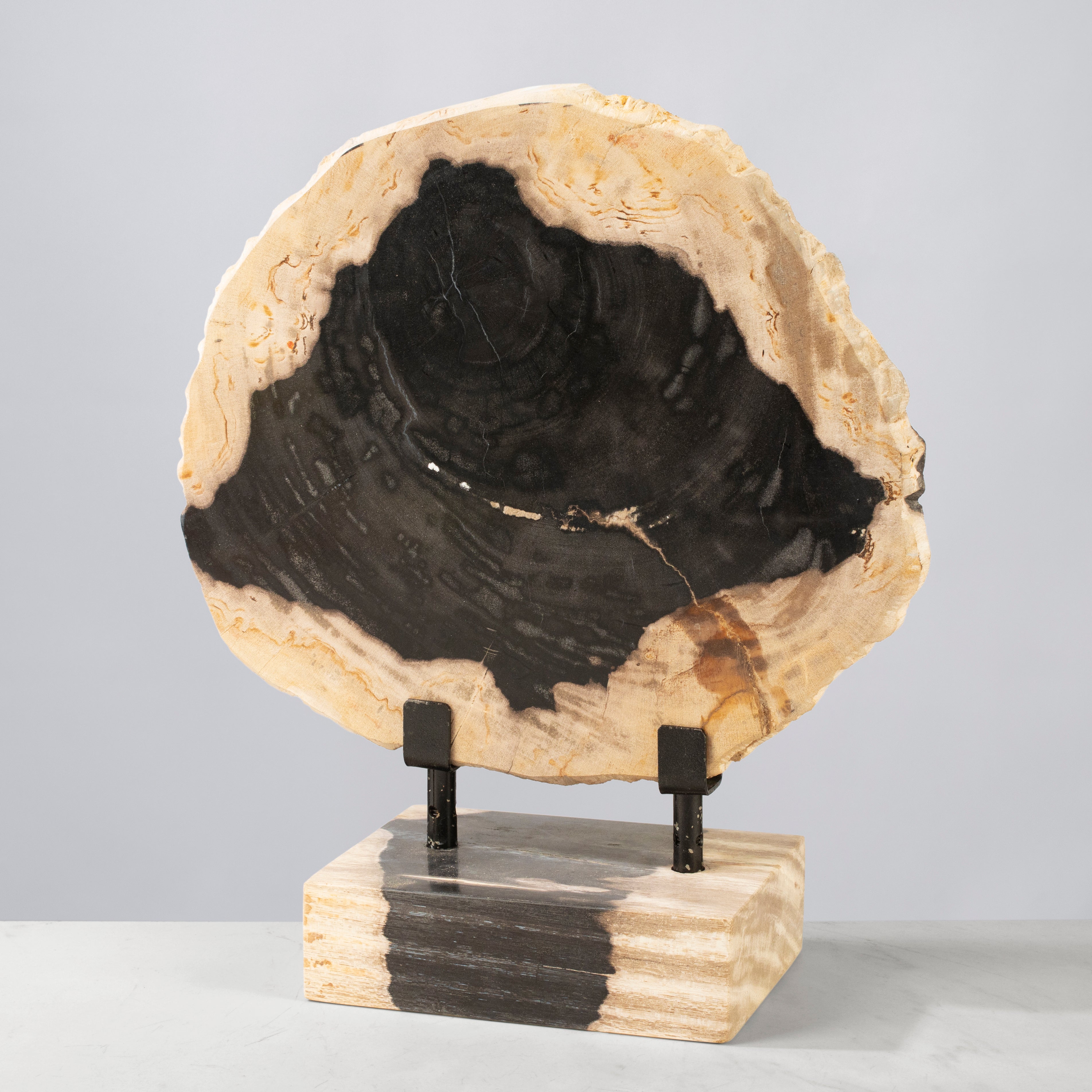 Kalifano Petrified Wood 12" Petrified Wood Slice on Stand PWSS350-MIX