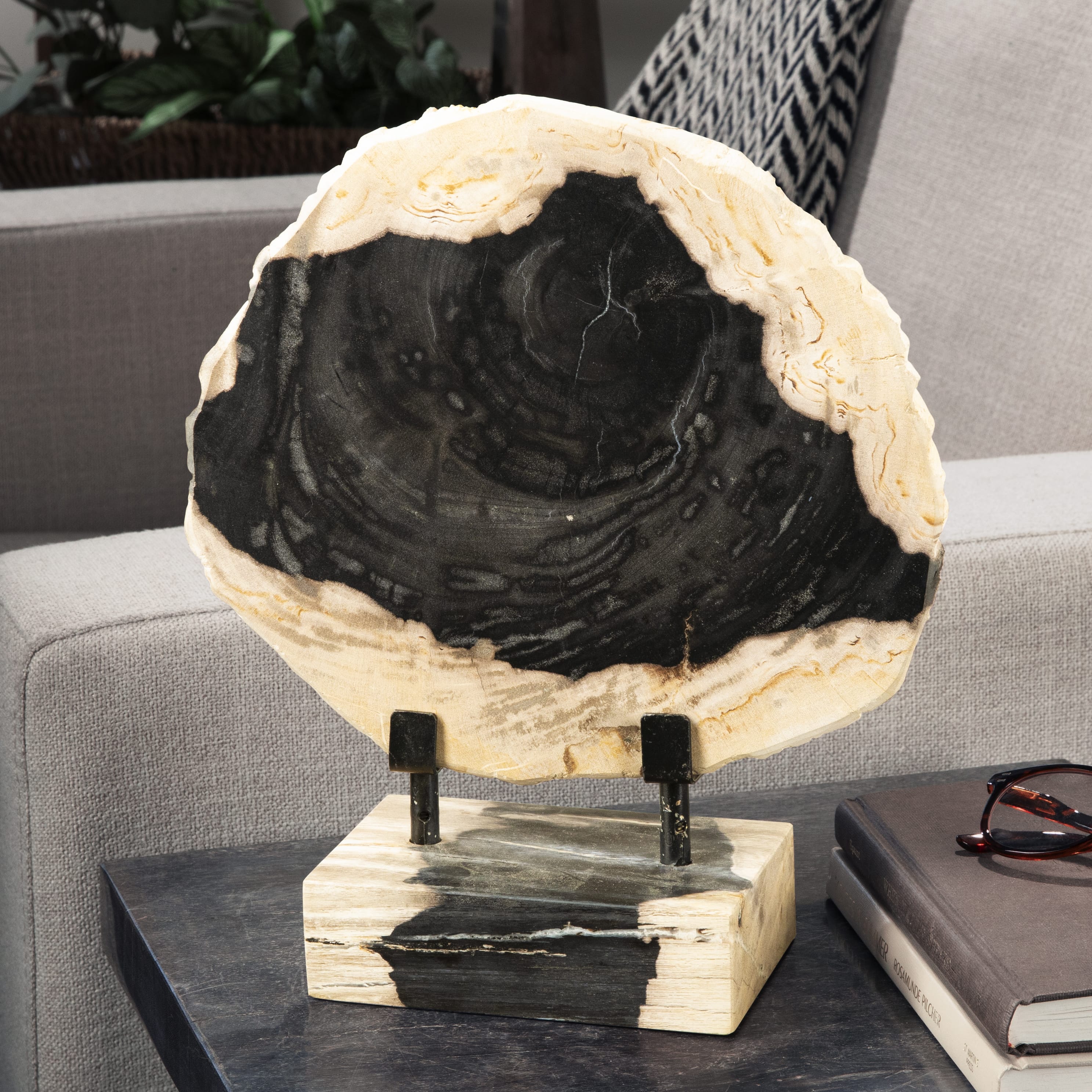 Kalifano Petrified Wood 12" Petrified Wood Slice on Stand PWSS350-MIX