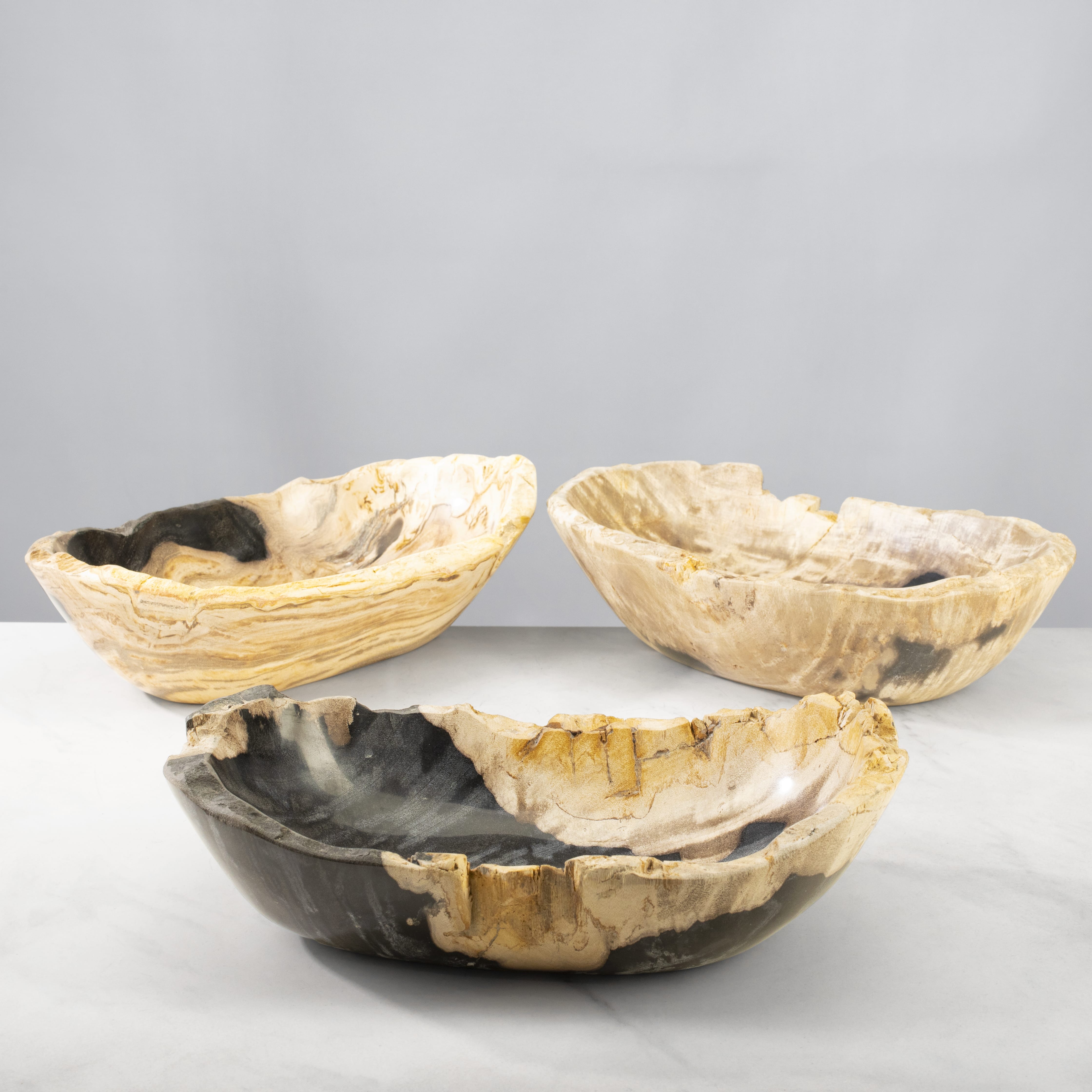 Kalifano Petrified Wood 13" Petrified Wood Bowl PWBO700-MIX