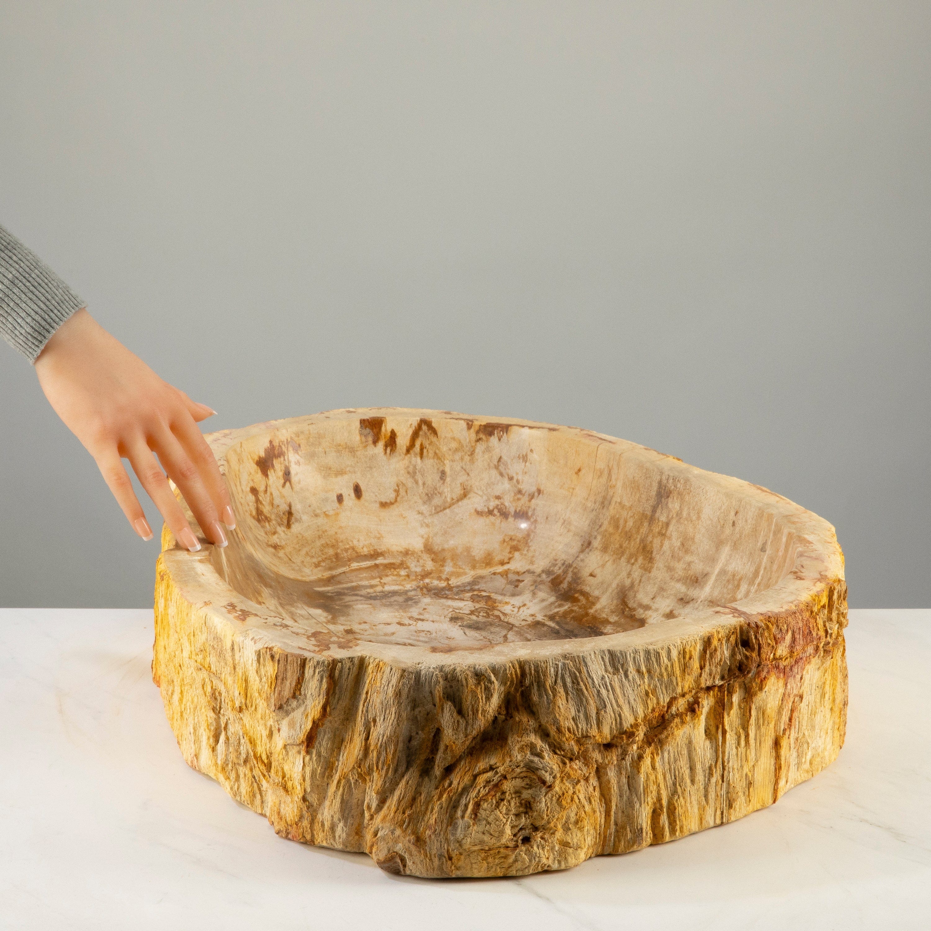 Kalifano Petrified Wood 22" Brown Petrified Wood Sink Bowl PWSK2400.003