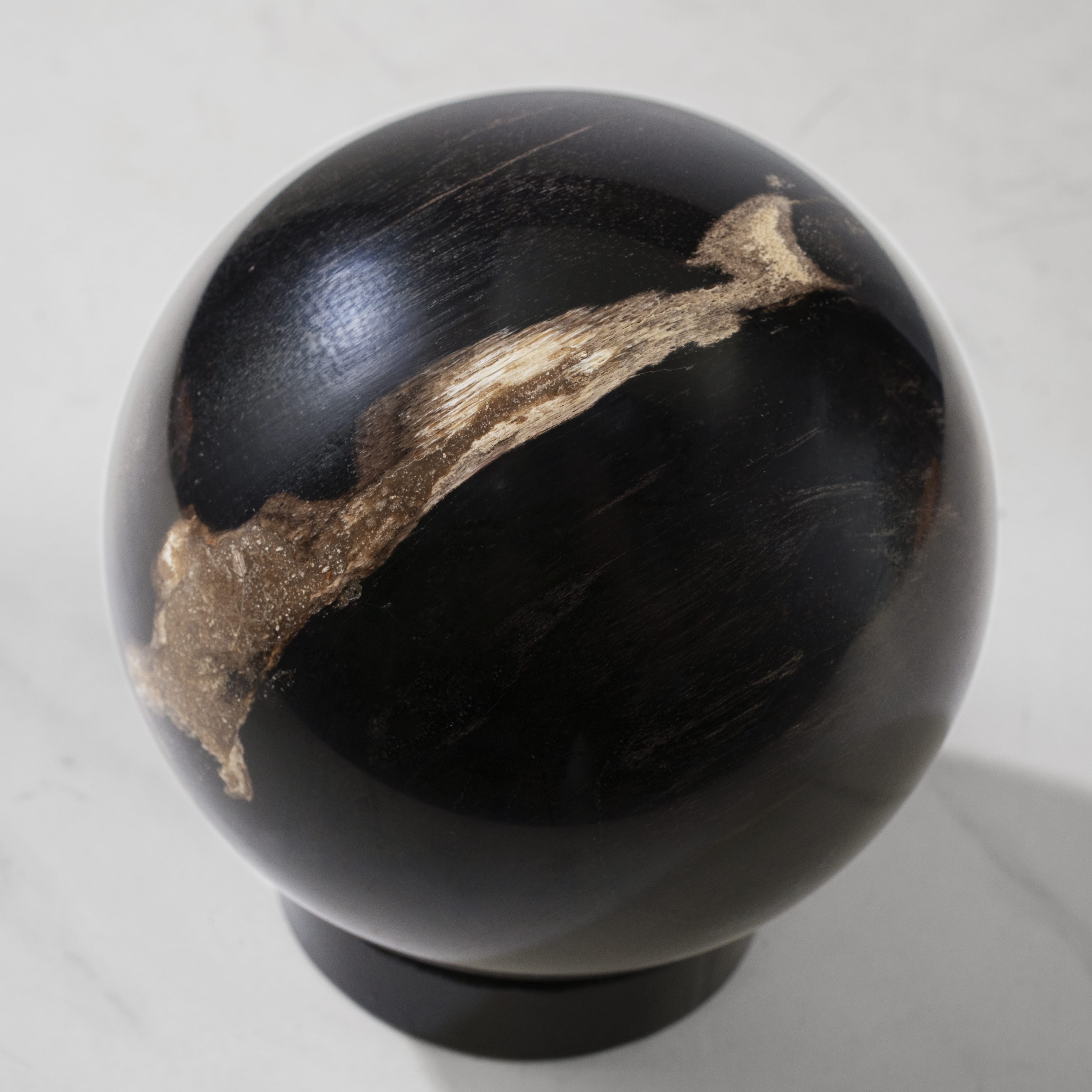 Kalifano Petrified Wood 5" Black Petrified Wood Sphere PWSP200-BK