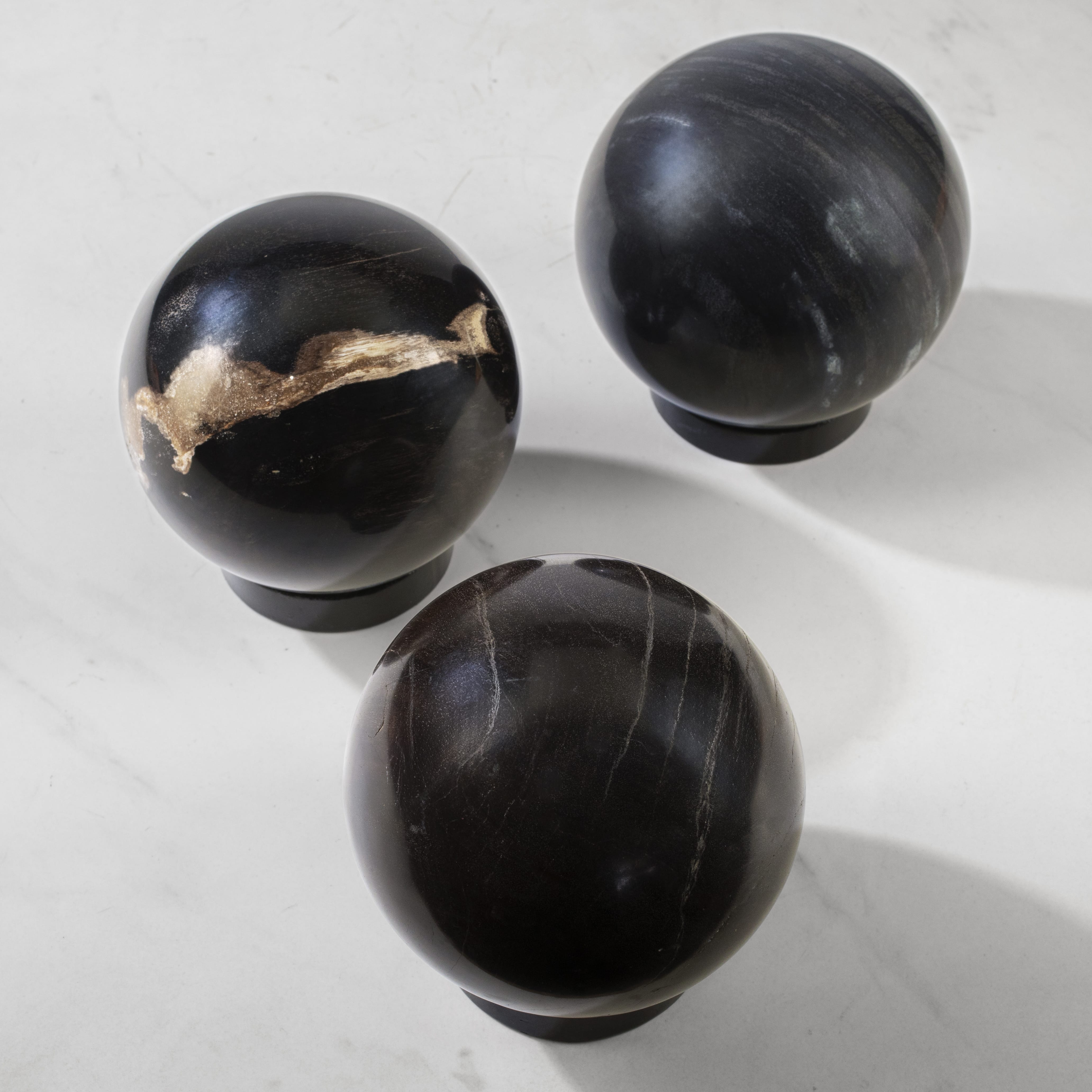 KALIFANO | Indonesian Petrified Wood Sphere - Natural Home Decor