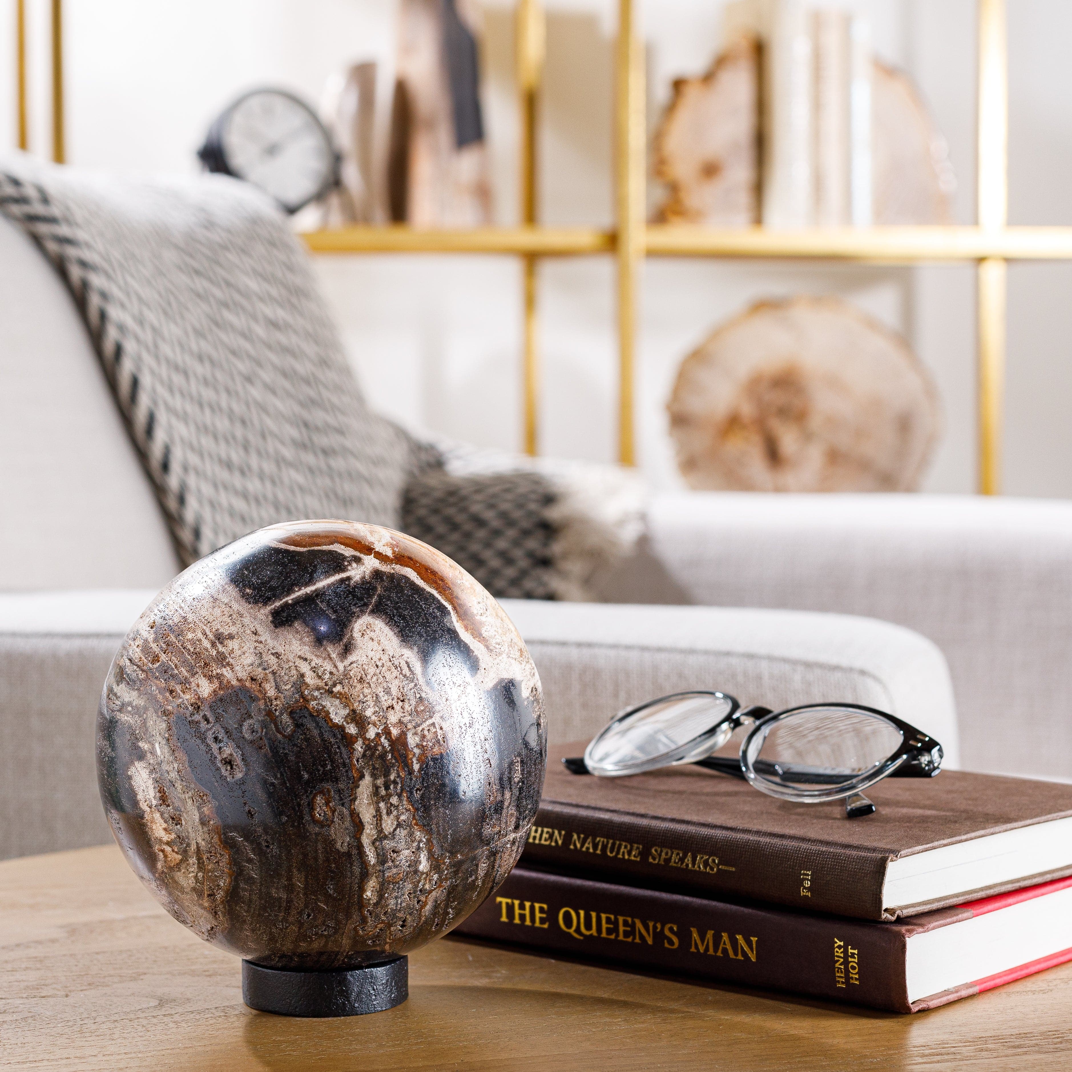 Petrified Wood Decor: Transform Your Space with Timeless Elegance