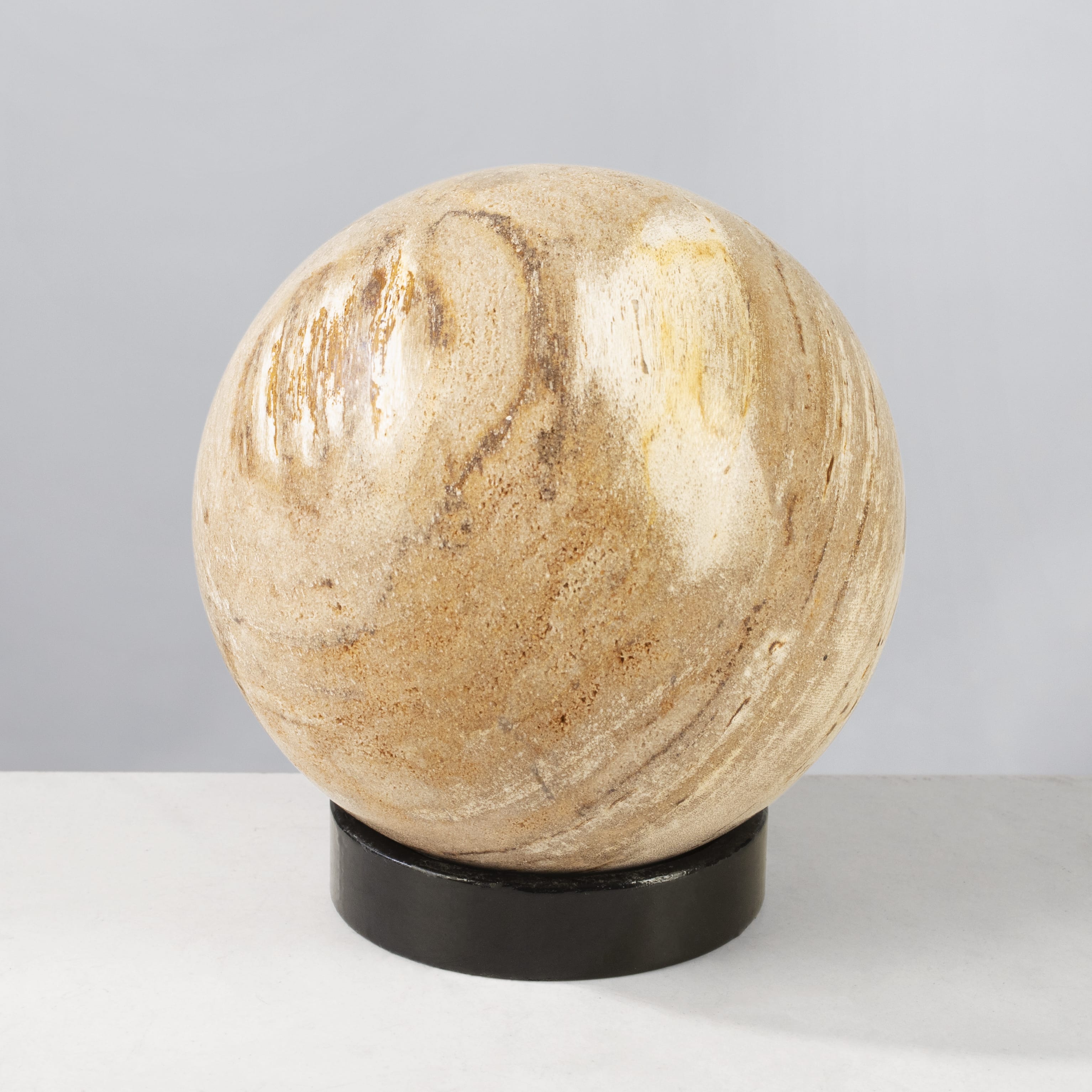 Kalifano Petrified Wood 5" Brown Petrified Wood Sphere PWSP200-BN