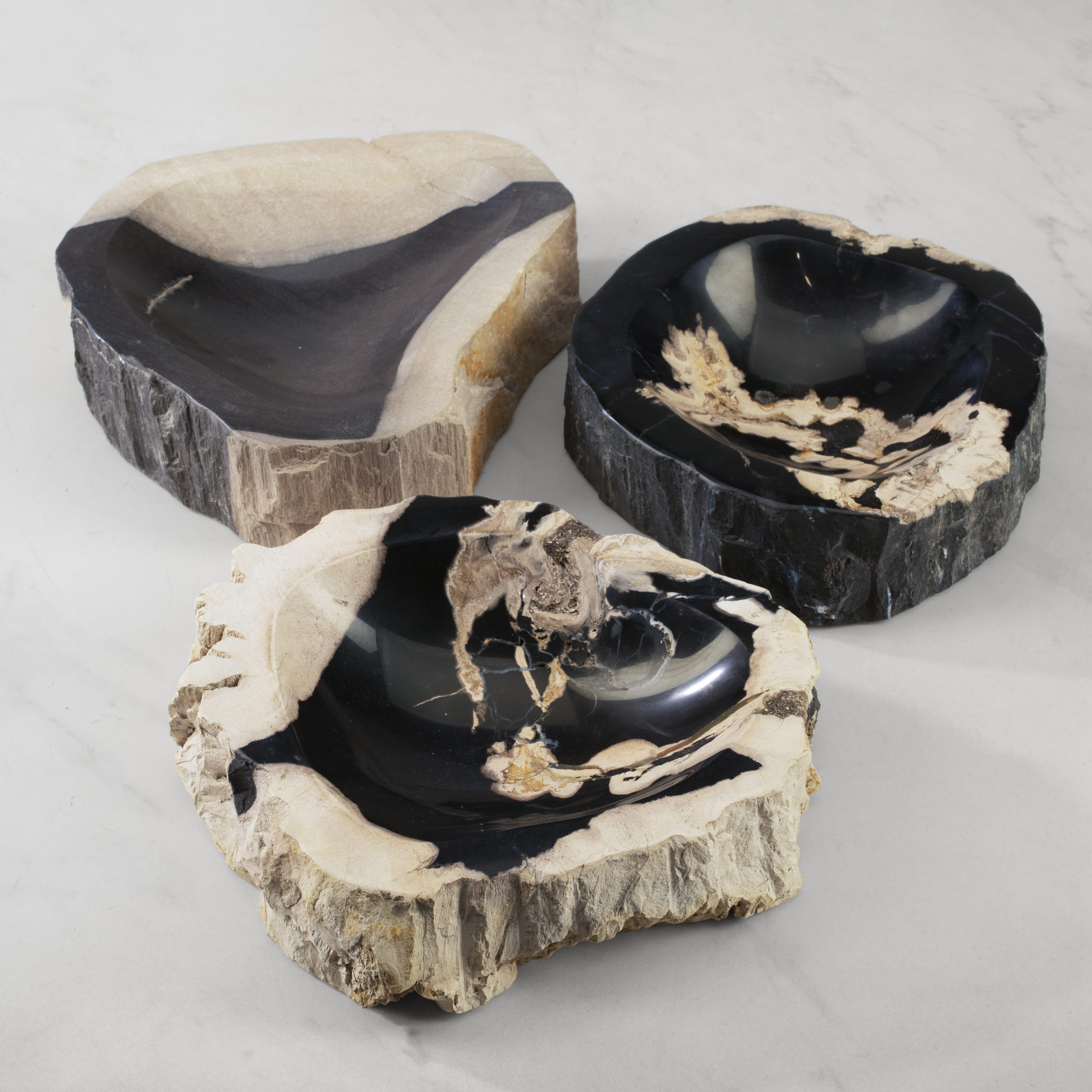 Kalifano Petrified Wood 7" Petrified Wood Catchall Organizing Bowl & Jewelry Dish PWAT250-MIX