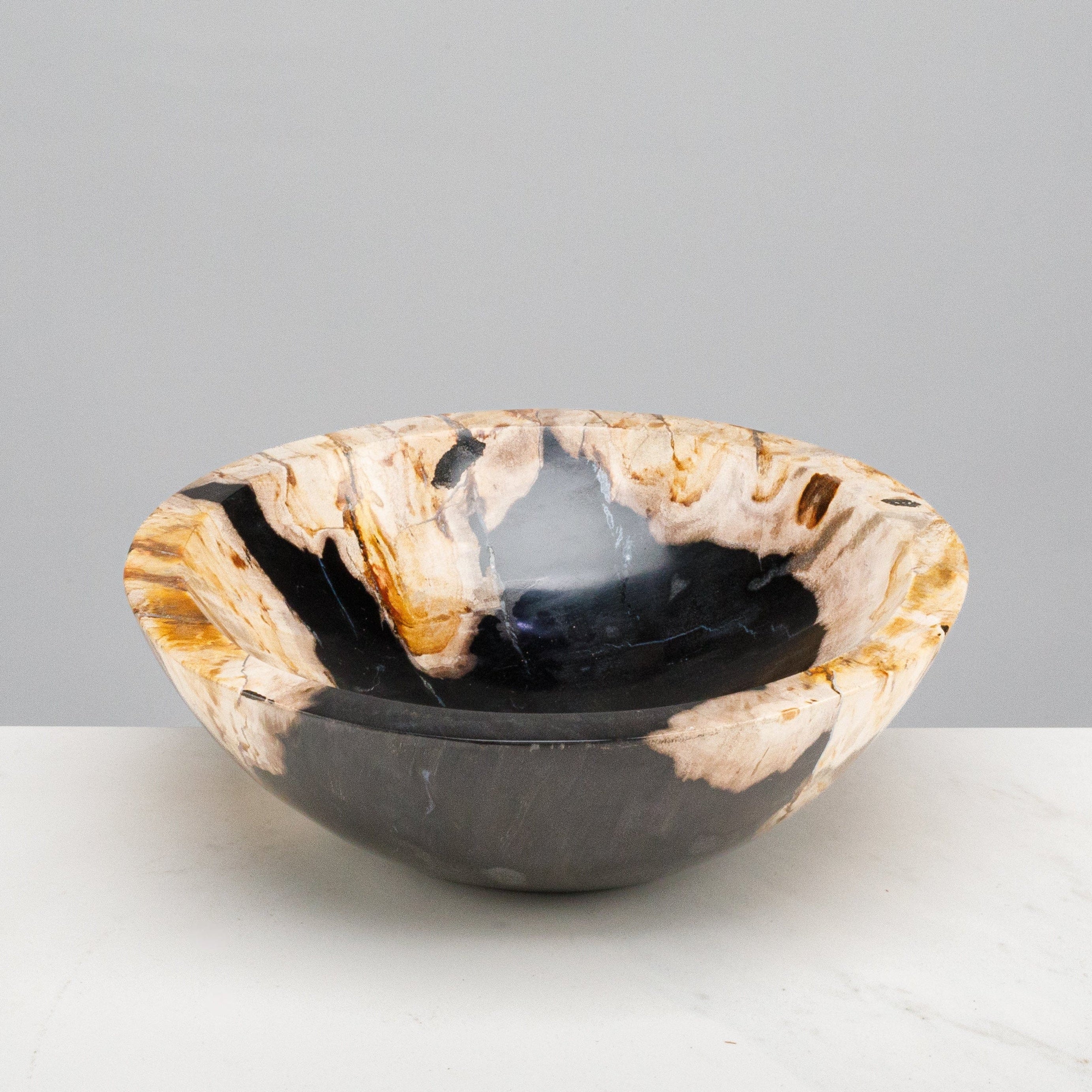 Kalifano Petrified Wood 9" Black Small Petrified Wood Bowl PWBO500-BK