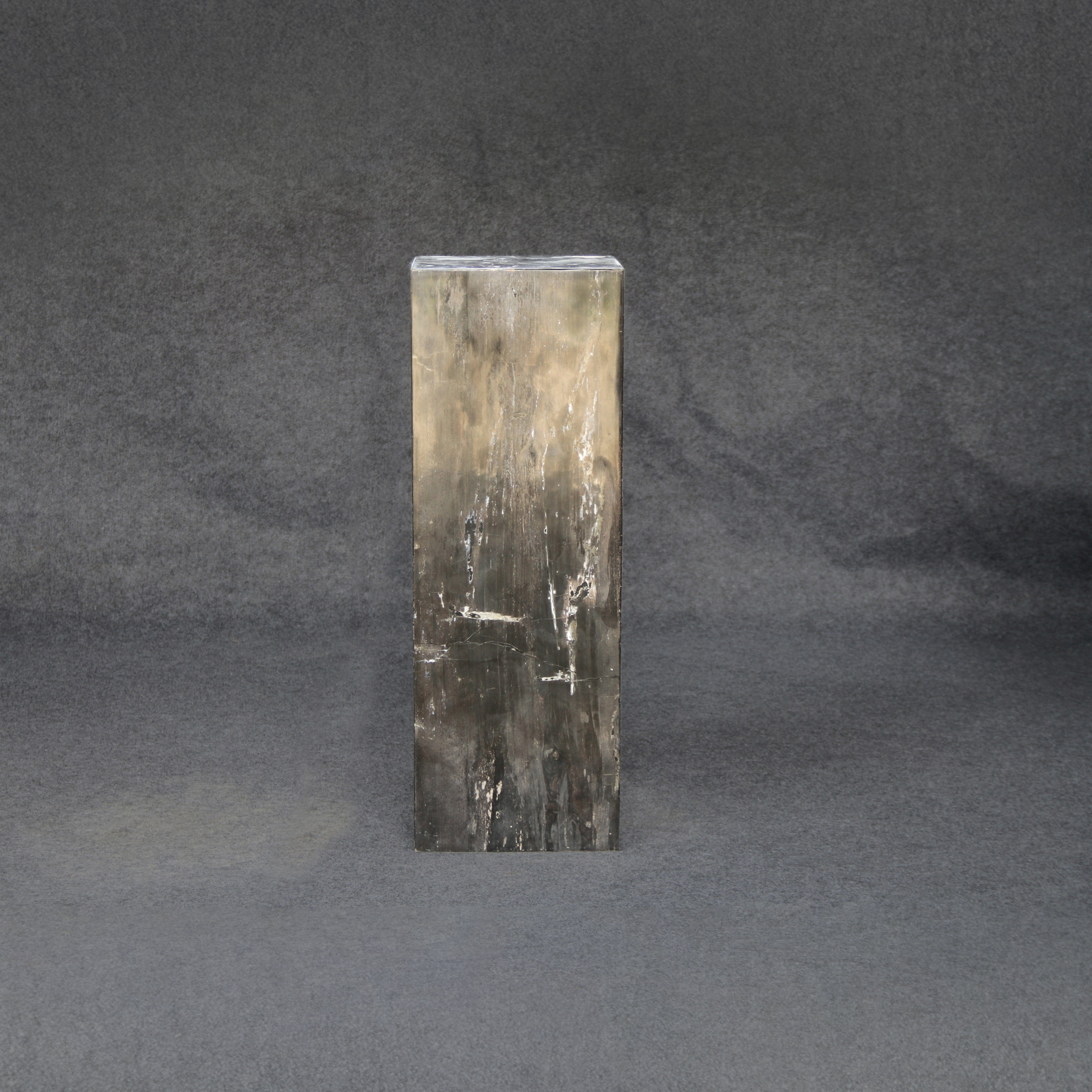 Kalifano Petrified Wood Black Petrified Wood Hollow Square Pedestal 39" / 172 lbs PWP8000.033