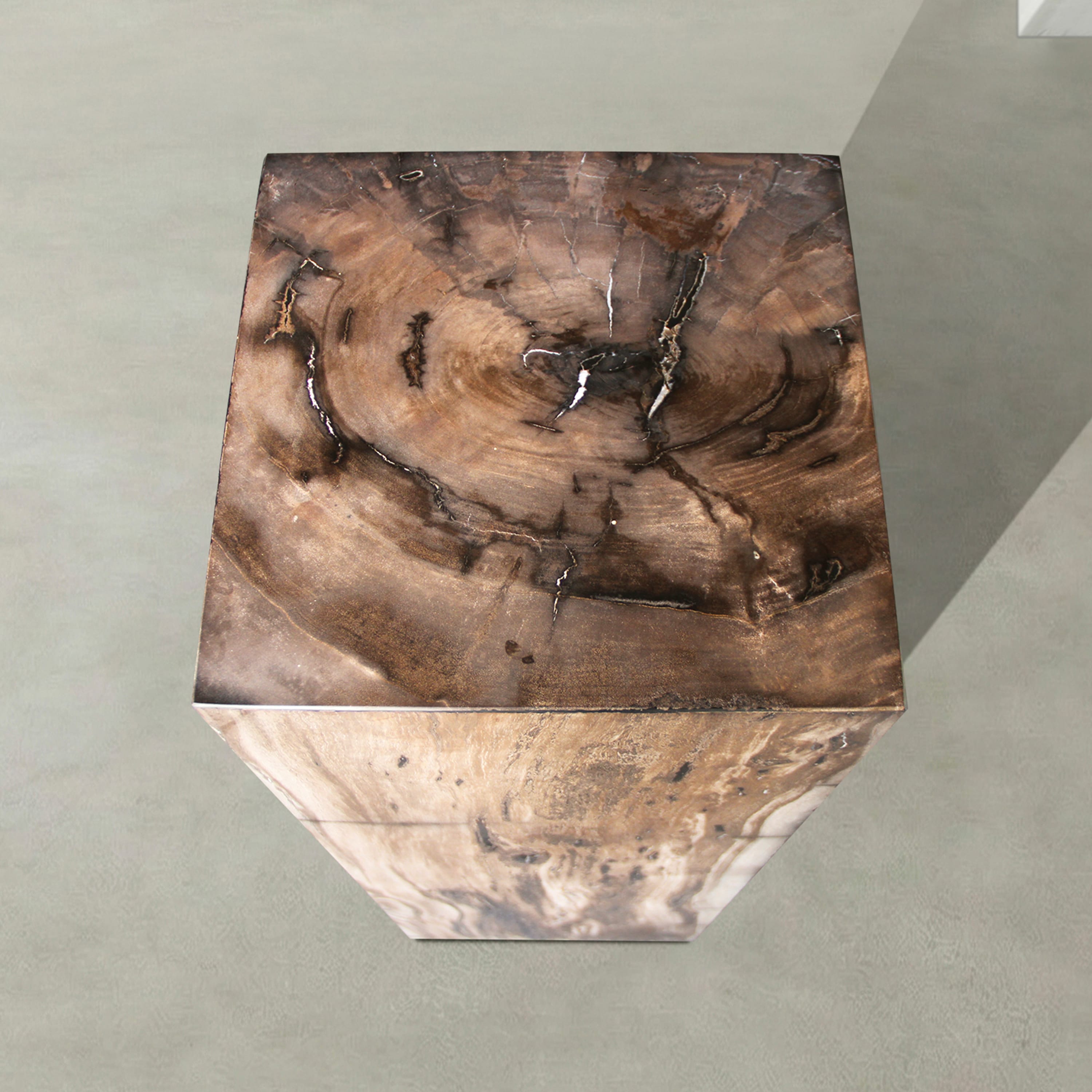Kalifano Petrified Wood Natural Petrified Wood Hollow Square Pedestal from Indonesia - 39" / 166 lbs PWP8000.057