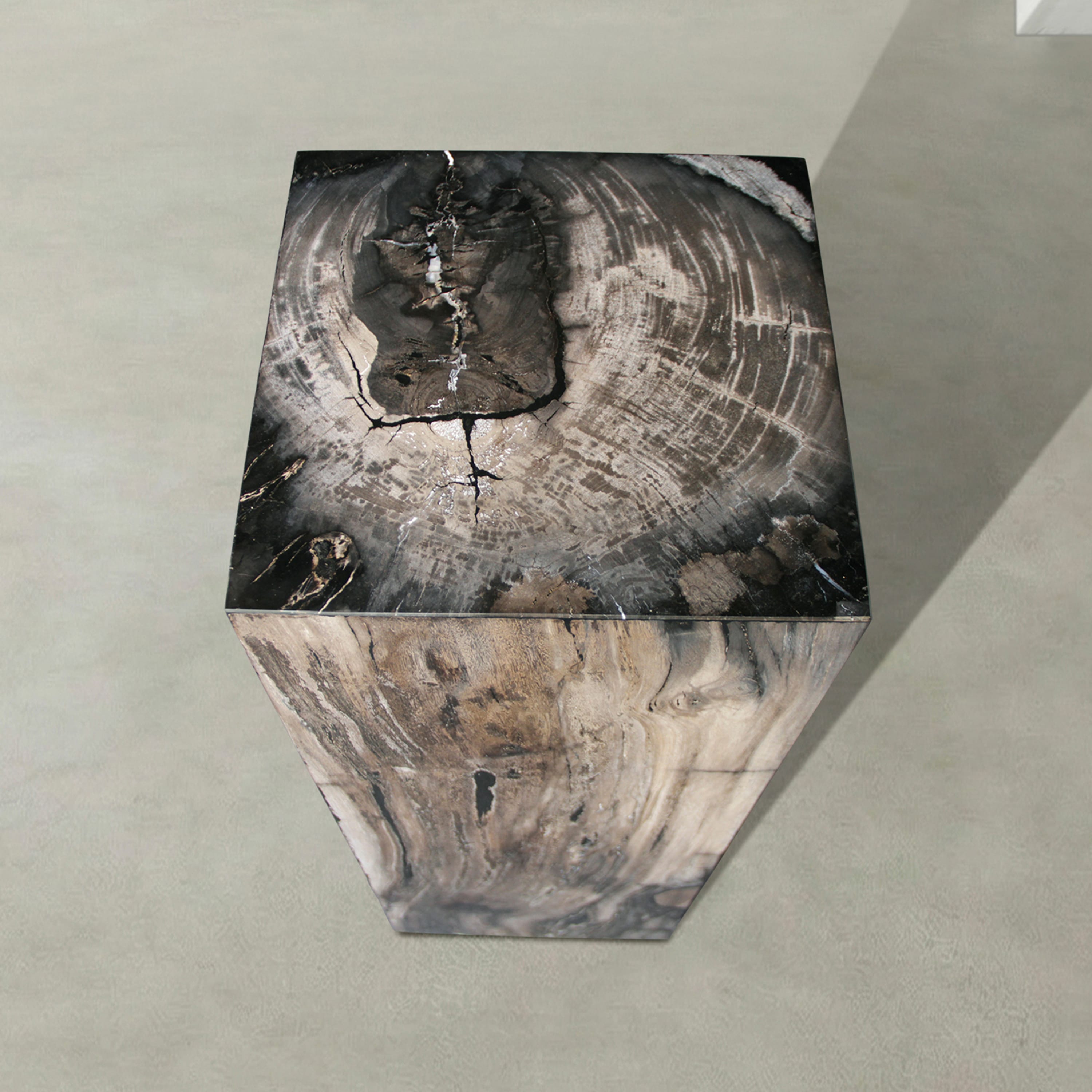 Kalifano Petrified Wood Natural Petrified Wood Hollow Square Pedestal from Indonesia - 39" / 174 lbs PWP8000.066