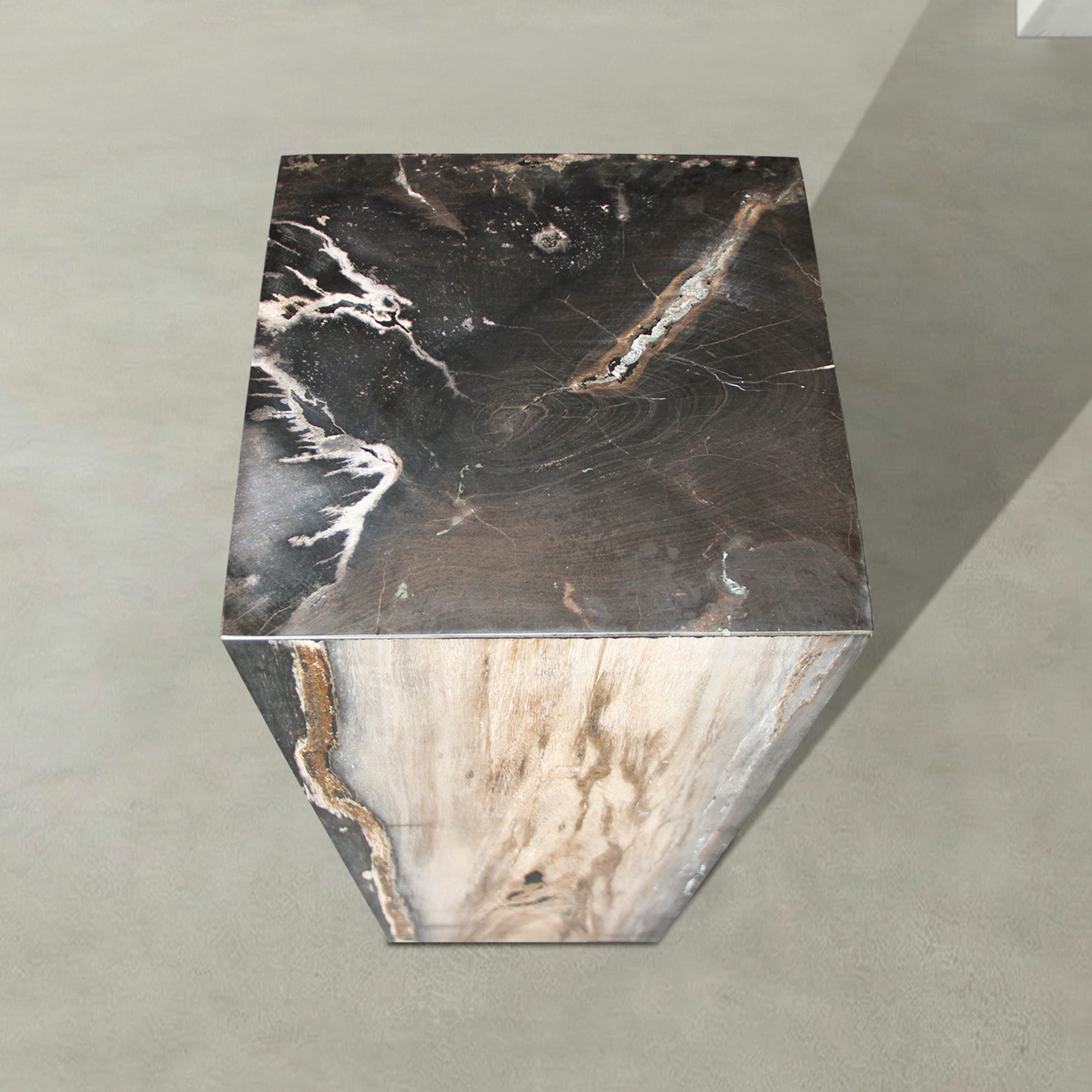 Kalifano Petrified Wood Natural Petrified Wood Hollow Square Pedestal from Indonesia - 39" / 177 lbs PWP8000.061