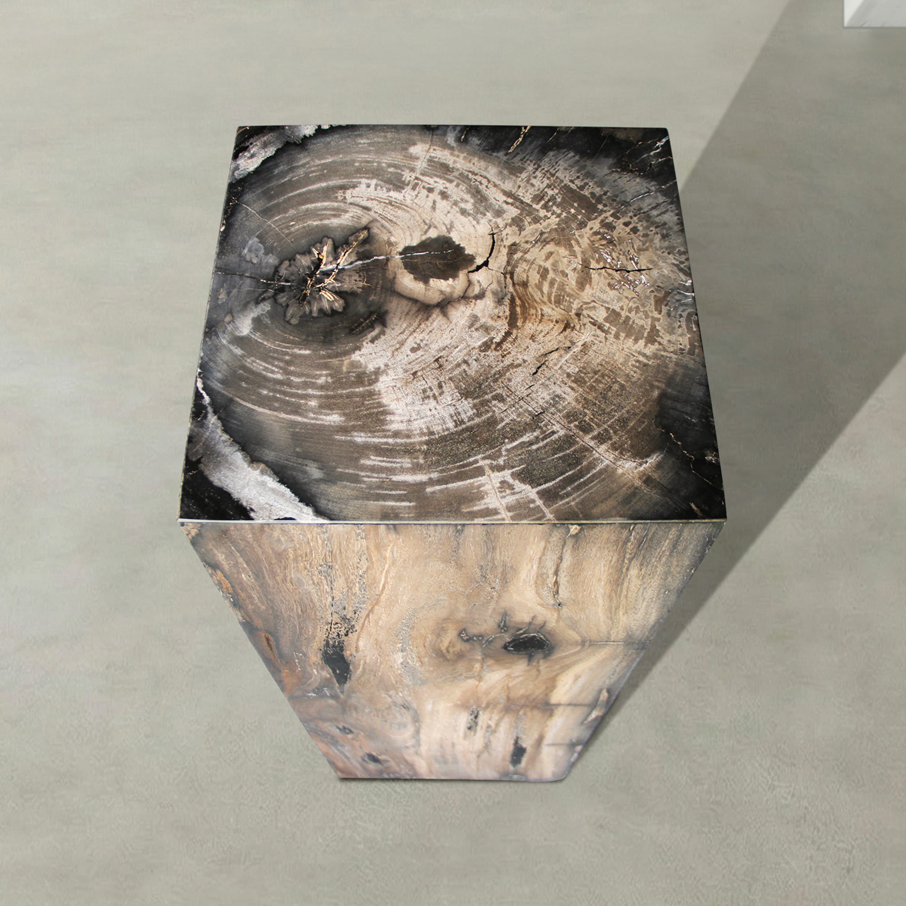 Kalifano Petrified Wood Natural Petrified Wood Hollow Square Pedestal from Indonesia - 39" / 177 lbs PWP8000.065