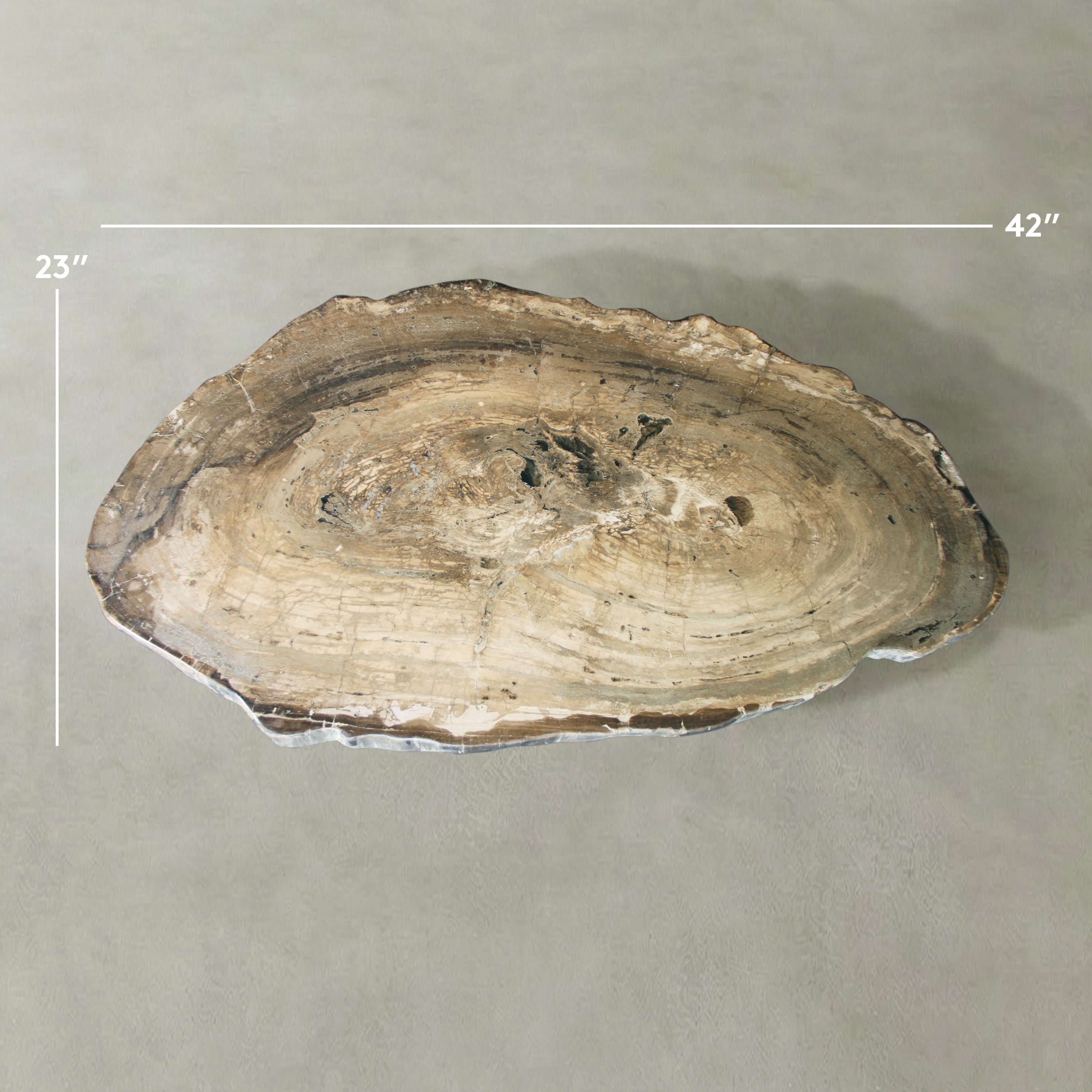 Kalifano Petrified Wood Natural Petrified Wood Round Slab Coffee Table from East Indonesia - 42" / 155 lbs PWT9000.005