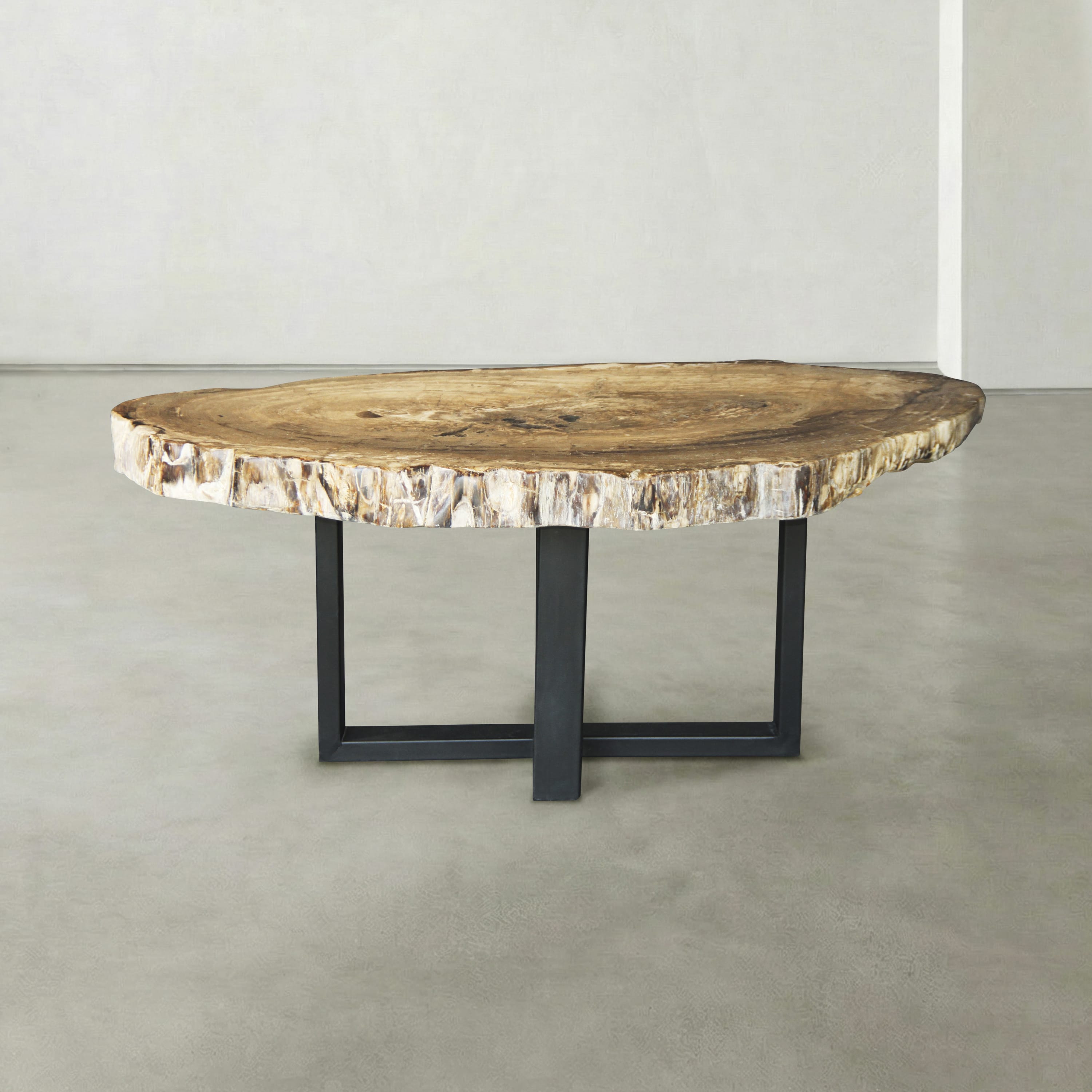 Kalifano Petrified Wood Natural Petrified Wood Round Slab Coffee Table from East Indonesia - 42" / 155 lbs PWT9000.005