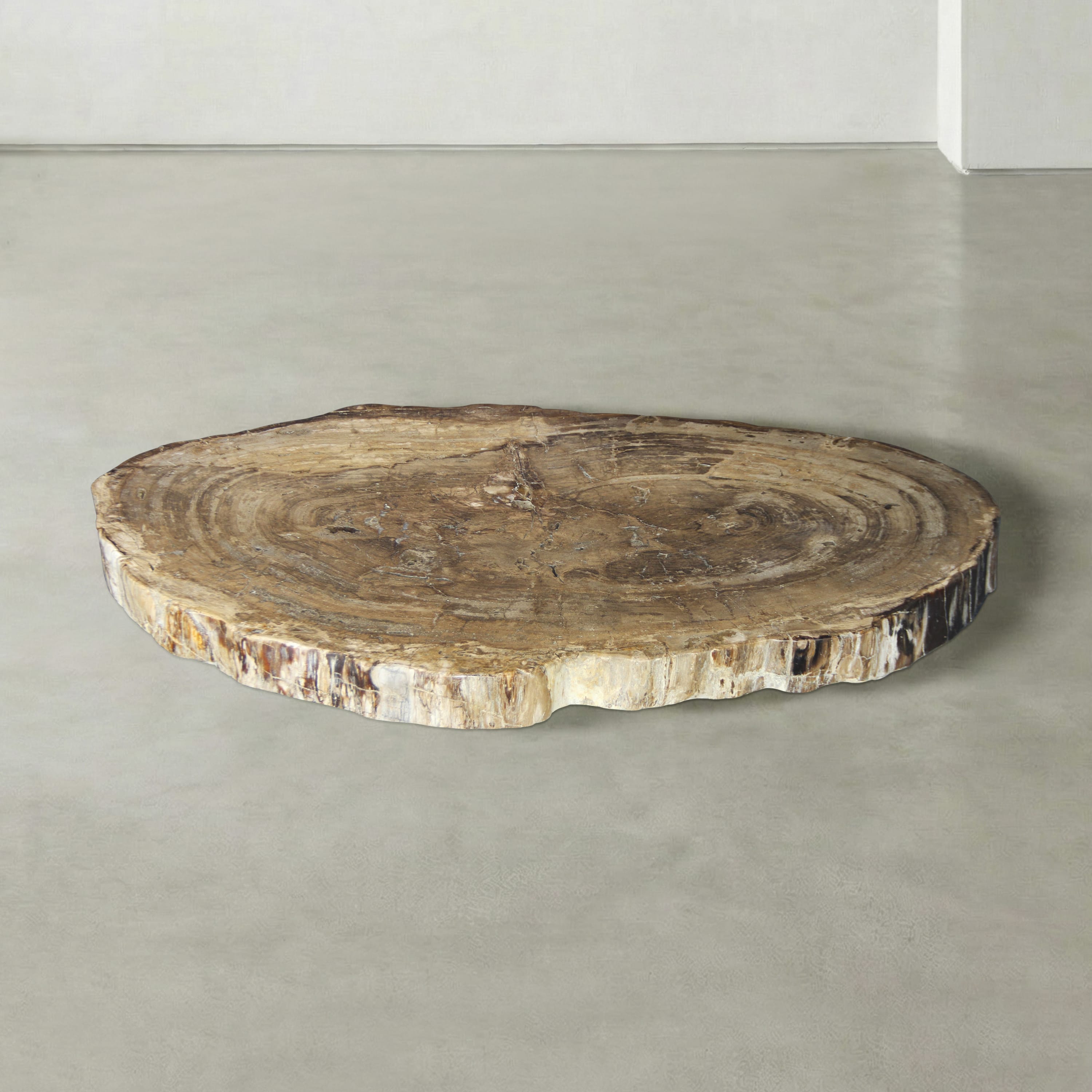 Kalifano Petrified Wood Natural Petrified Wood Round Slab Coffee Table from East Indonesia - 42" / 183 lbs PWT11250.001