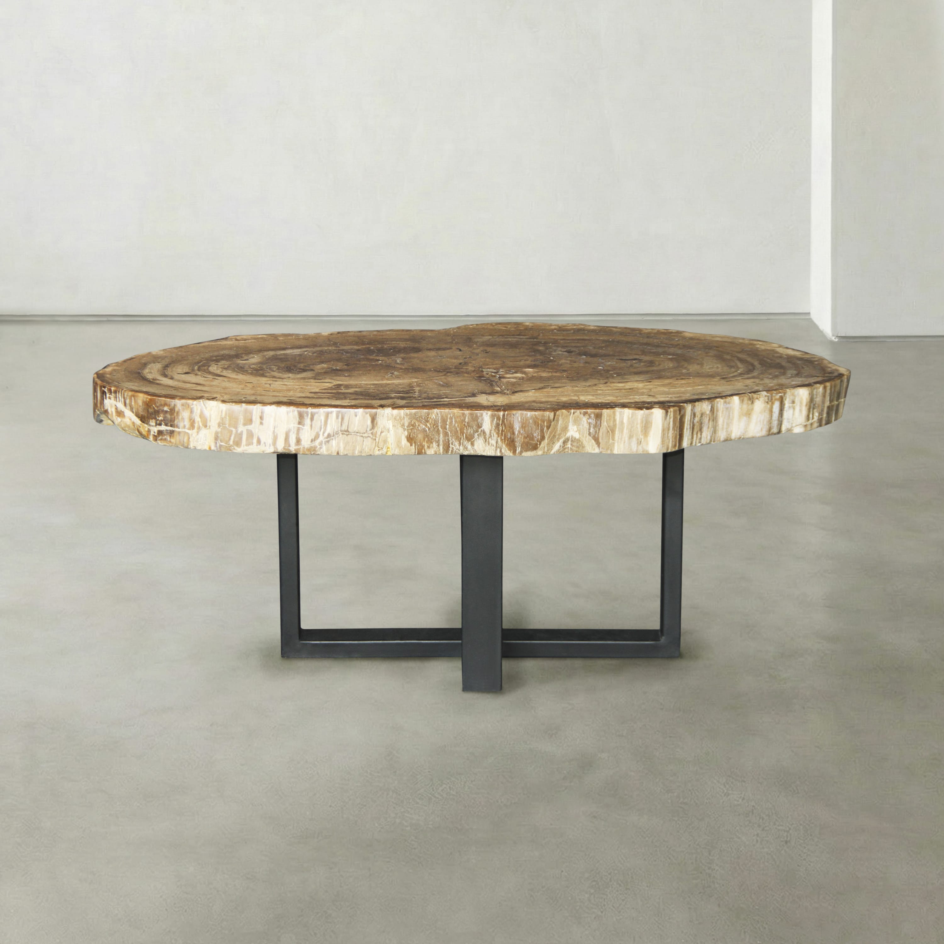 Kalifano Petrified Wood Natural Petrified Wood Round Slab Coffee Table from East Indonesia - 42" / 183 lbs PWT11250.001