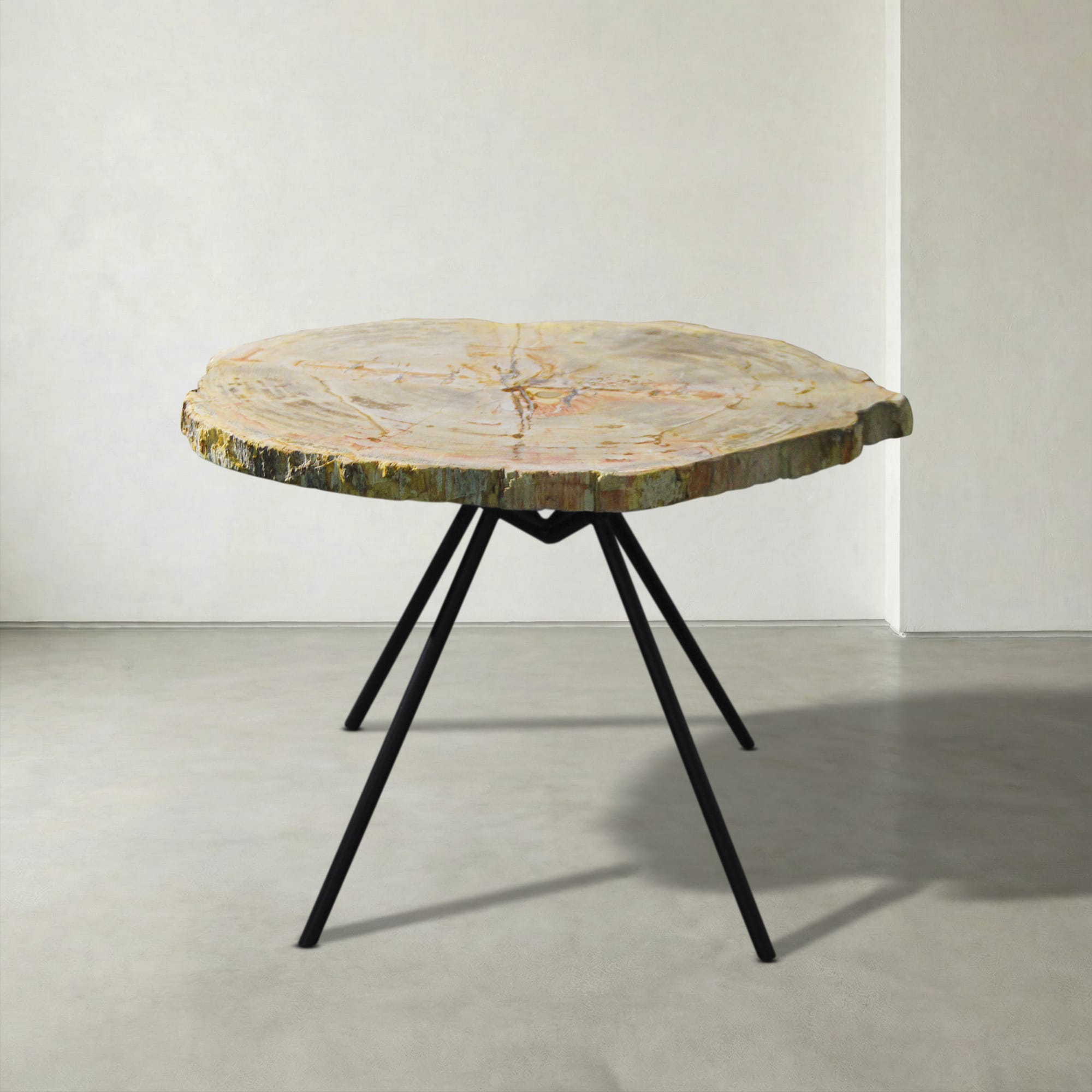 Kalifano Petrified Wood Natural Petrified Wood Round Slab Coffee Table from Indonesia - 28" / 58 lbs PWT2600.007
