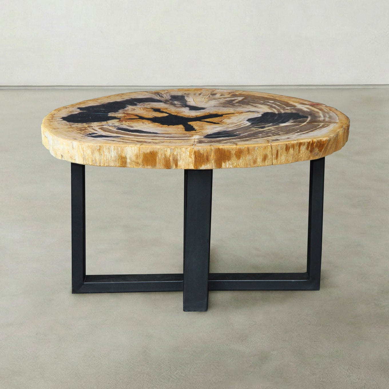 Kalifano Petrified Wood Natural Petrified Wood Round Slab Coffee Table from Indonesia - 28" / 99 lbs PWT4100.005