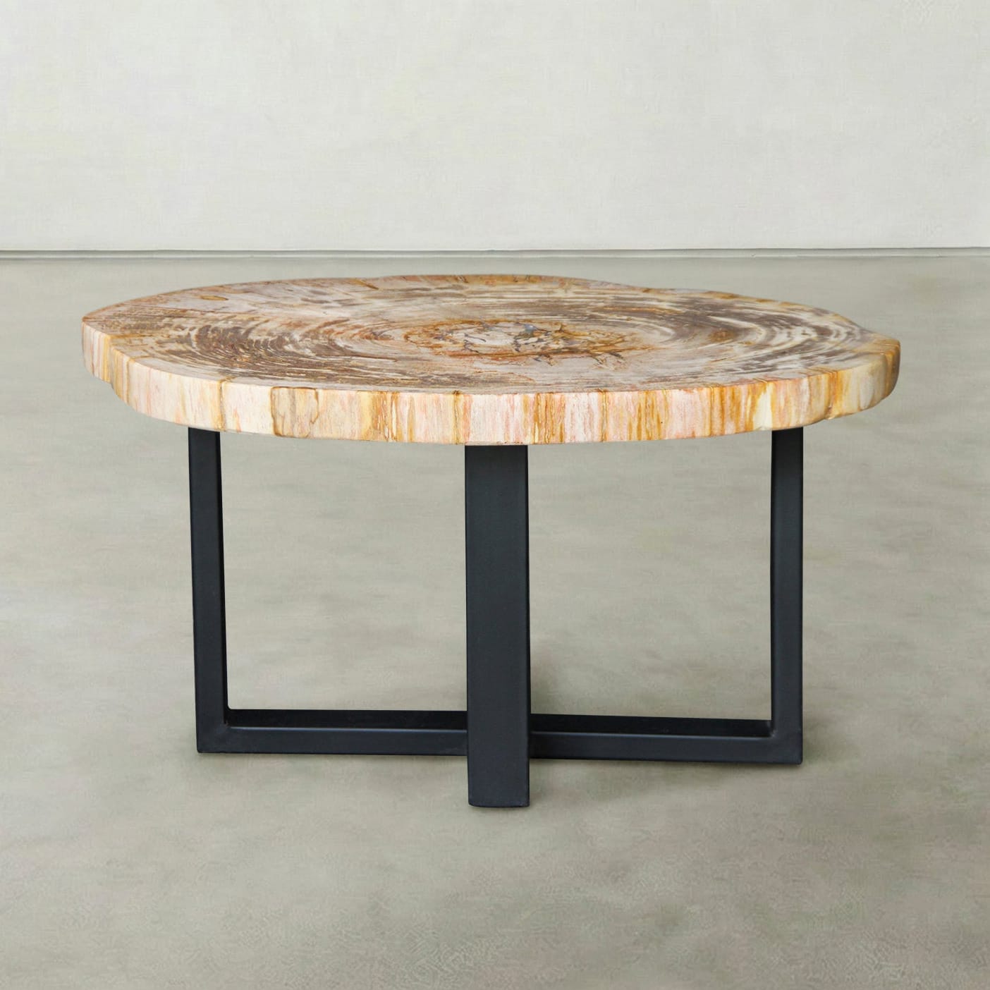 Kalifano Petrified Wood Natural Petrified Wood Round Slab Coffee Table from Indonesia - 30" / 91 lbs PWT3800.004