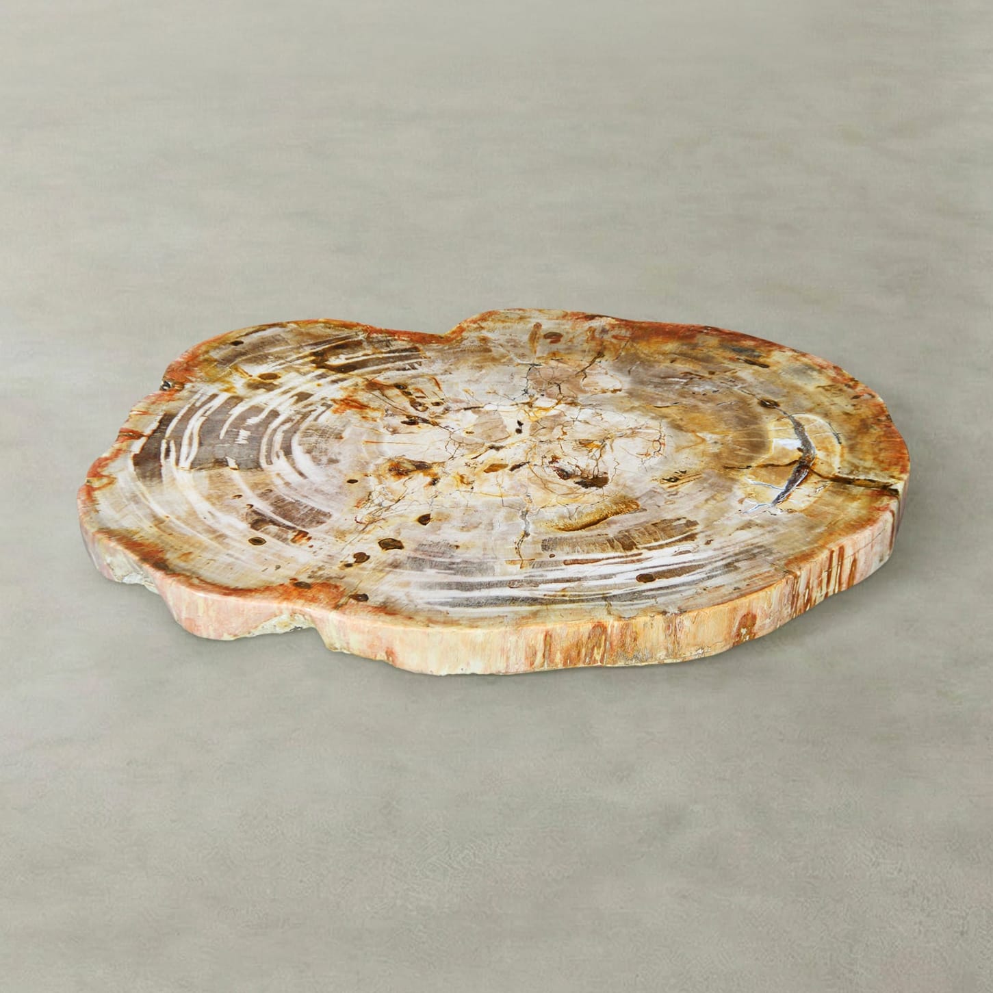 Kalifano Petrified Wood Natural Petrified Wood Round Slab Coffee Table from Indonesia - 31" / 108 lbs PWT4500.007
