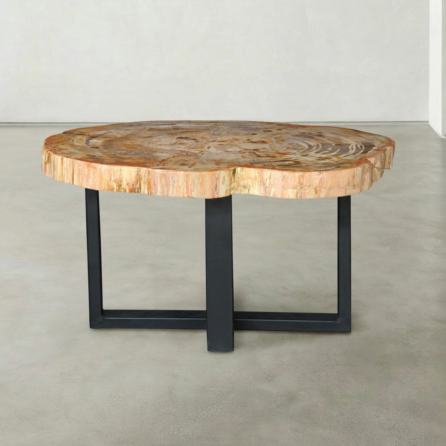 Kalifano Petrified Wood Natural Petrified Wood Round Slab Coffee Table from Indonesia - 31" / 108 lbs PWT4500.007