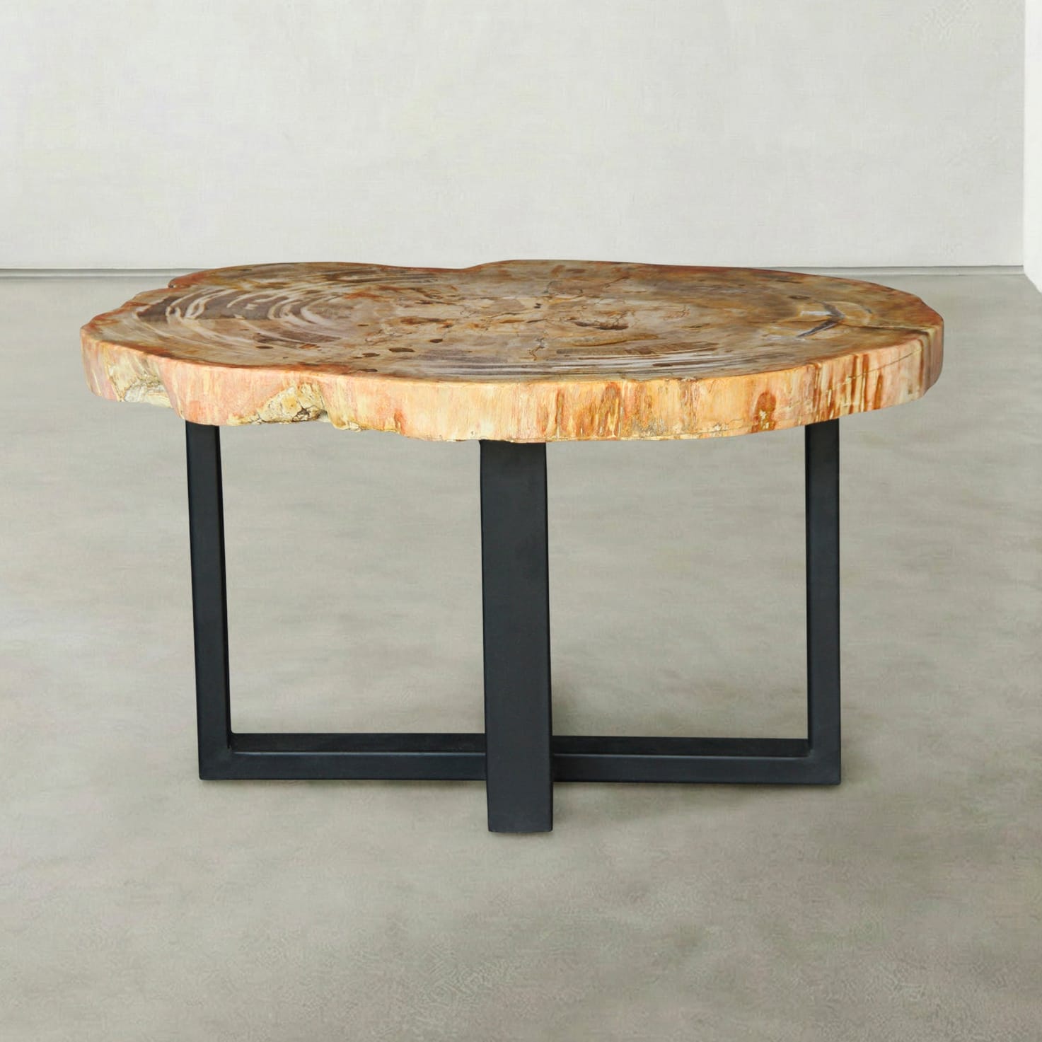 Kalifano Petrified Wood Natural Petrified Wood Round Slab Coffee Table from Indonesia - 31" / 108 lbs PWT4500.007