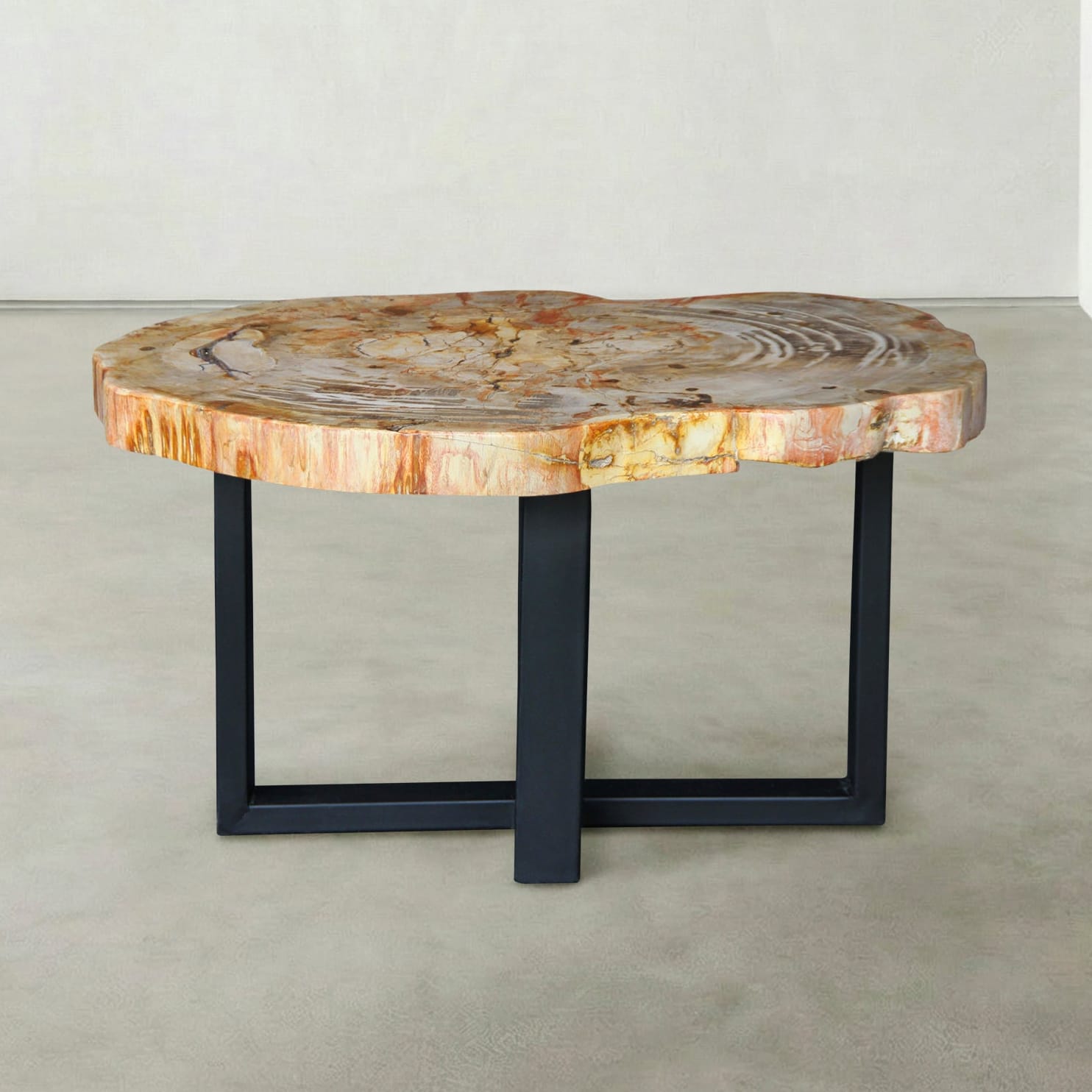 Kalifano Petrified Wood Natural Petrified Wood Round Slab Coffee Table from Indonesia - 31" / 111 lbs PWT4500.008