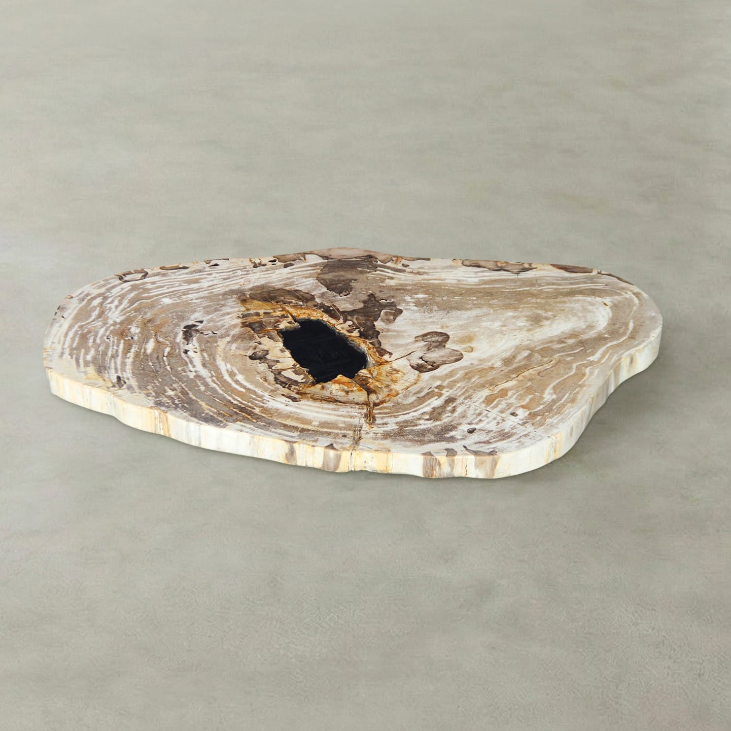 Kalifano Petrified Wood Natural Petrified Wood Round Slab Coffee Table from Indonesia - 31" / 71 lbs PWT3100.003