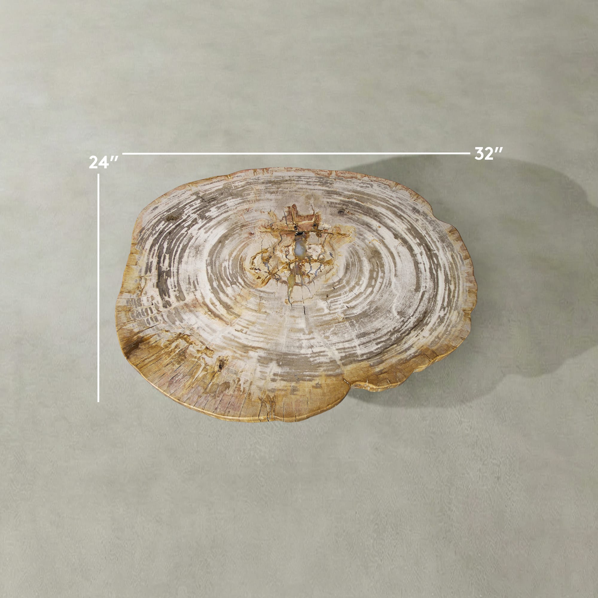 Kalifano Petrified Wood Natural Petrified Wood Round Slab Coffee Table from Indonesia - 32" / 113 lbs PWT4600.006