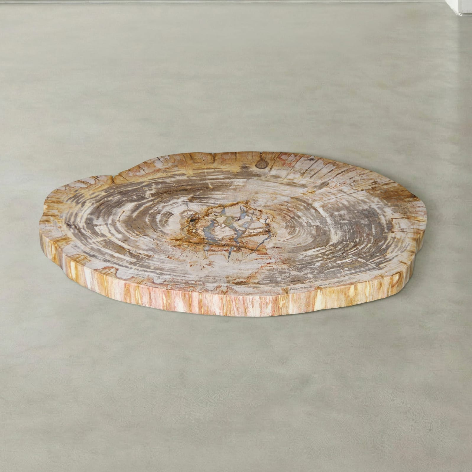Kalifano Petrified Wood Natural Petrified Wood Round Slab Coffee Table from Indonesia - 33" / 106 lbs PWT4400.006