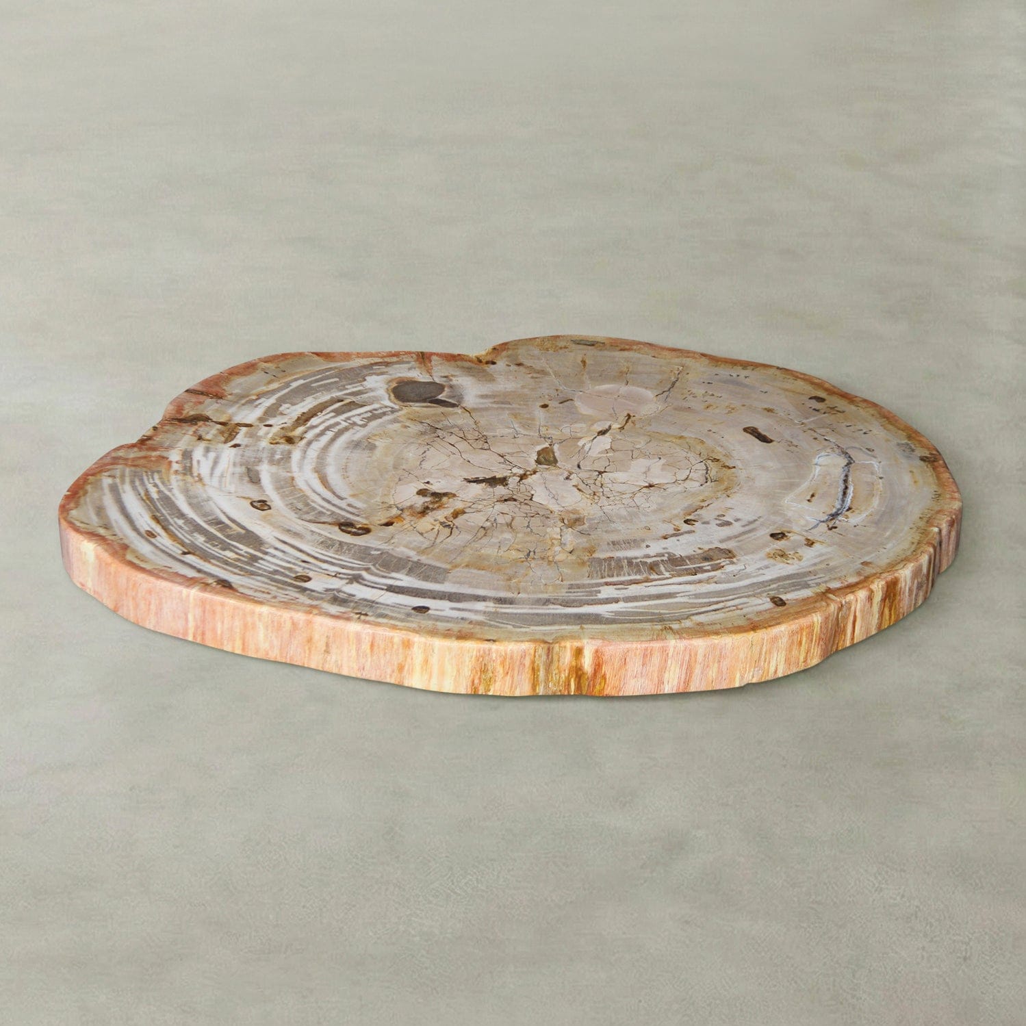 Kalifano Petrified Wood Natural Petrified Wood Round Slab Coffee Table from Indonesia - 33" / 108 lbs PWT4500.006