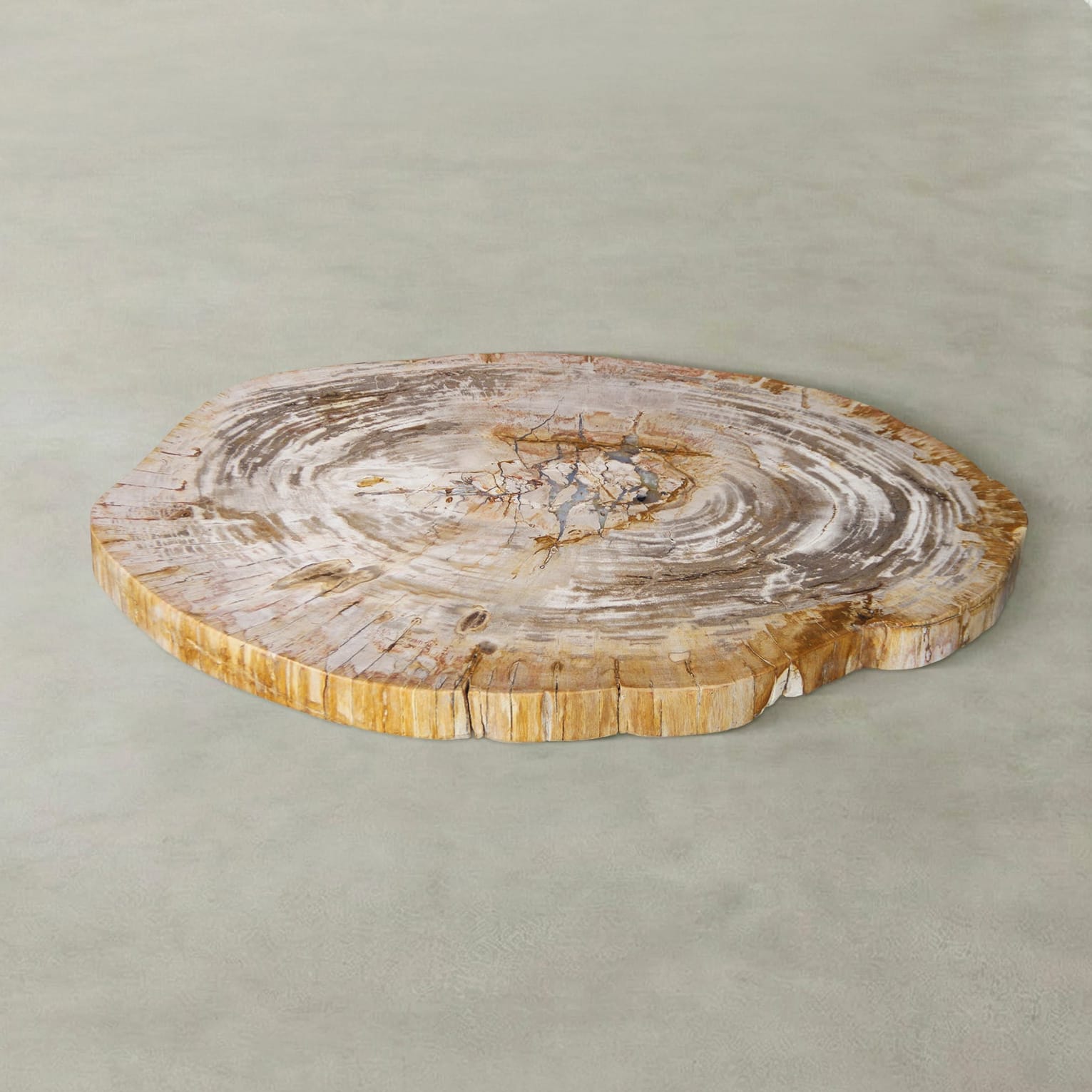 Kalifano Petrified Wood Natural Petrified Wood Round Slab Coffee Table from Indonesia - 33" / 111 lbs PWT4500.010