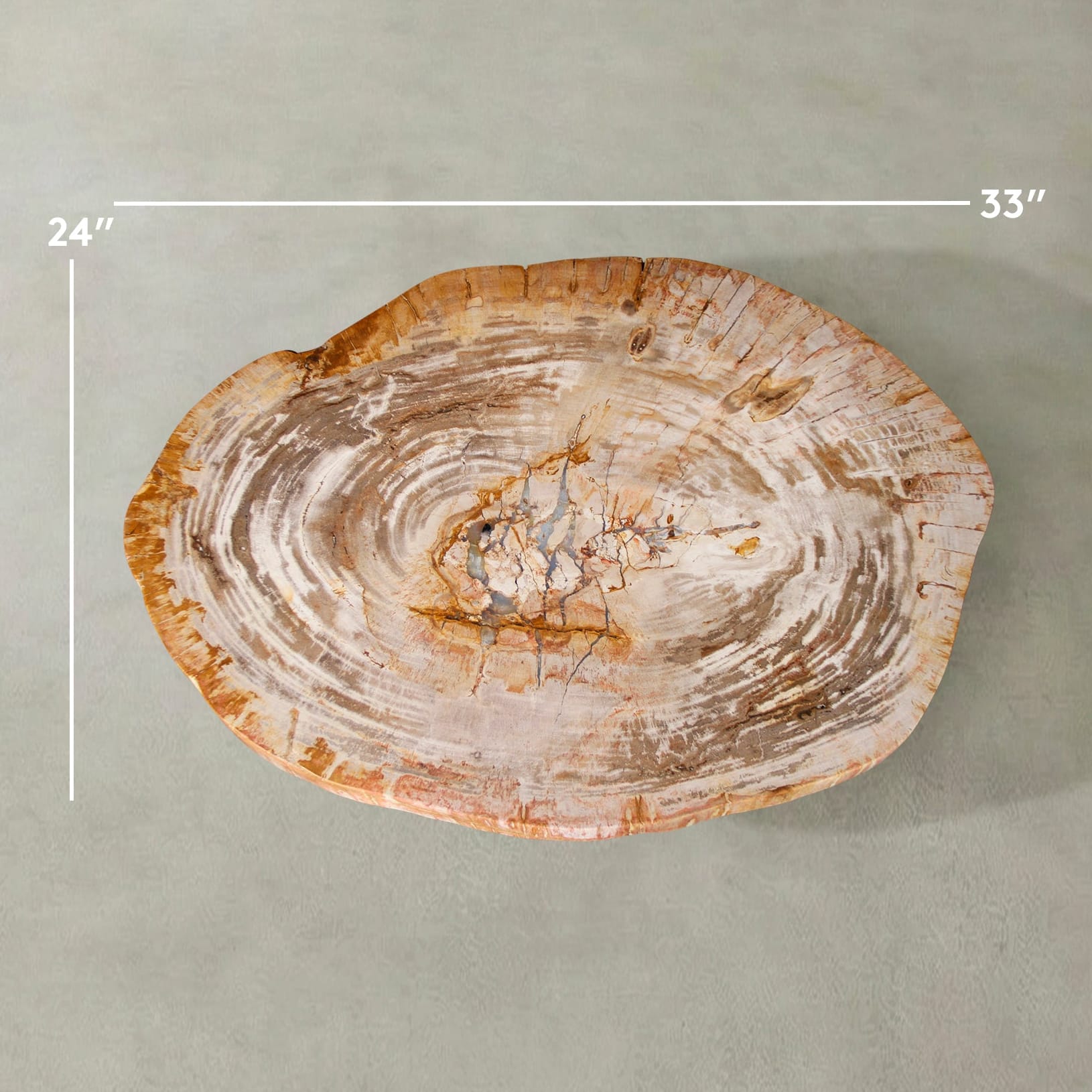 Kalifano Petrified Wood Natural Petrified Wood Round Slab Coffee Table from Indonesia - 33" / 111 lbs PWT4500.010
