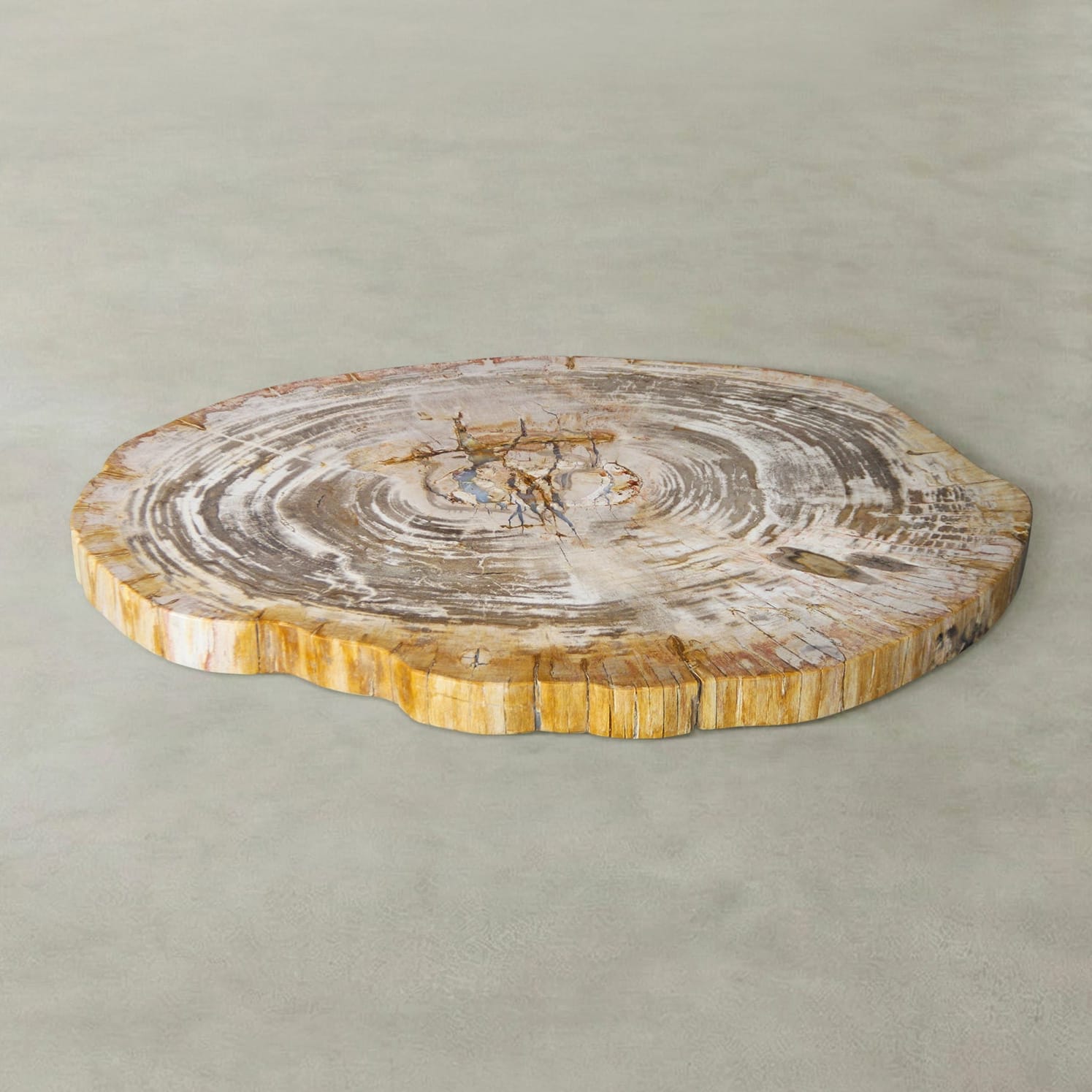 Kalifano Petrified Wood Natural Petrified Wood Round Slab Coffee Table from Indonesia - 33" / 111 lbs PWT4500.012
