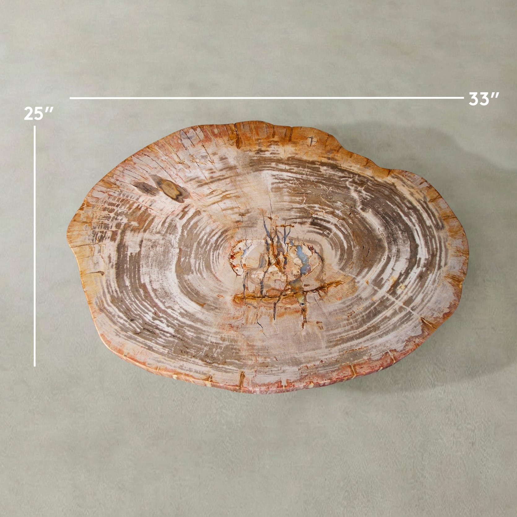 Kalifano Petrified Wood Natural Petrified Wood Round Slab Coffee Table from Indonesia - 33" / 111 lbs PWT4500.012