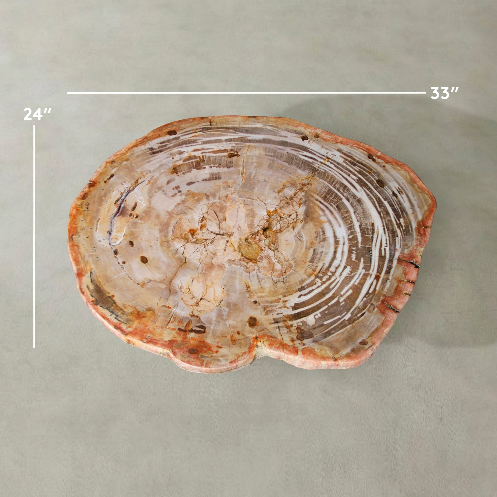Kalifano Petrified Wood Natural Petrified Wood Round Slab Coffee Table from Indonesia - 33" / 115 lbs PWT4700.001