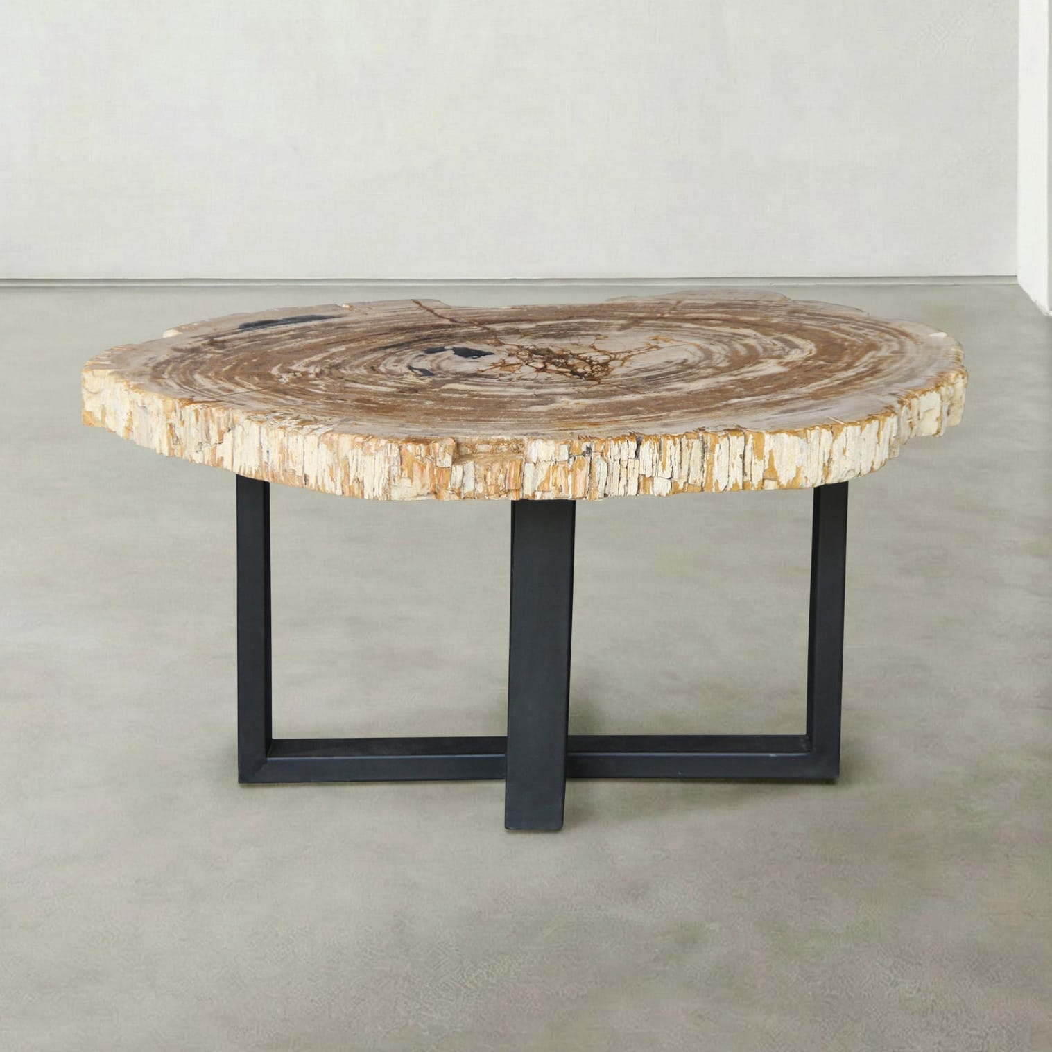 Kalifano Petrified Wood Natural Petrified Wood Round Slab Coffee Table from Indonesia - 33" / 119 lbs PWT4900.001