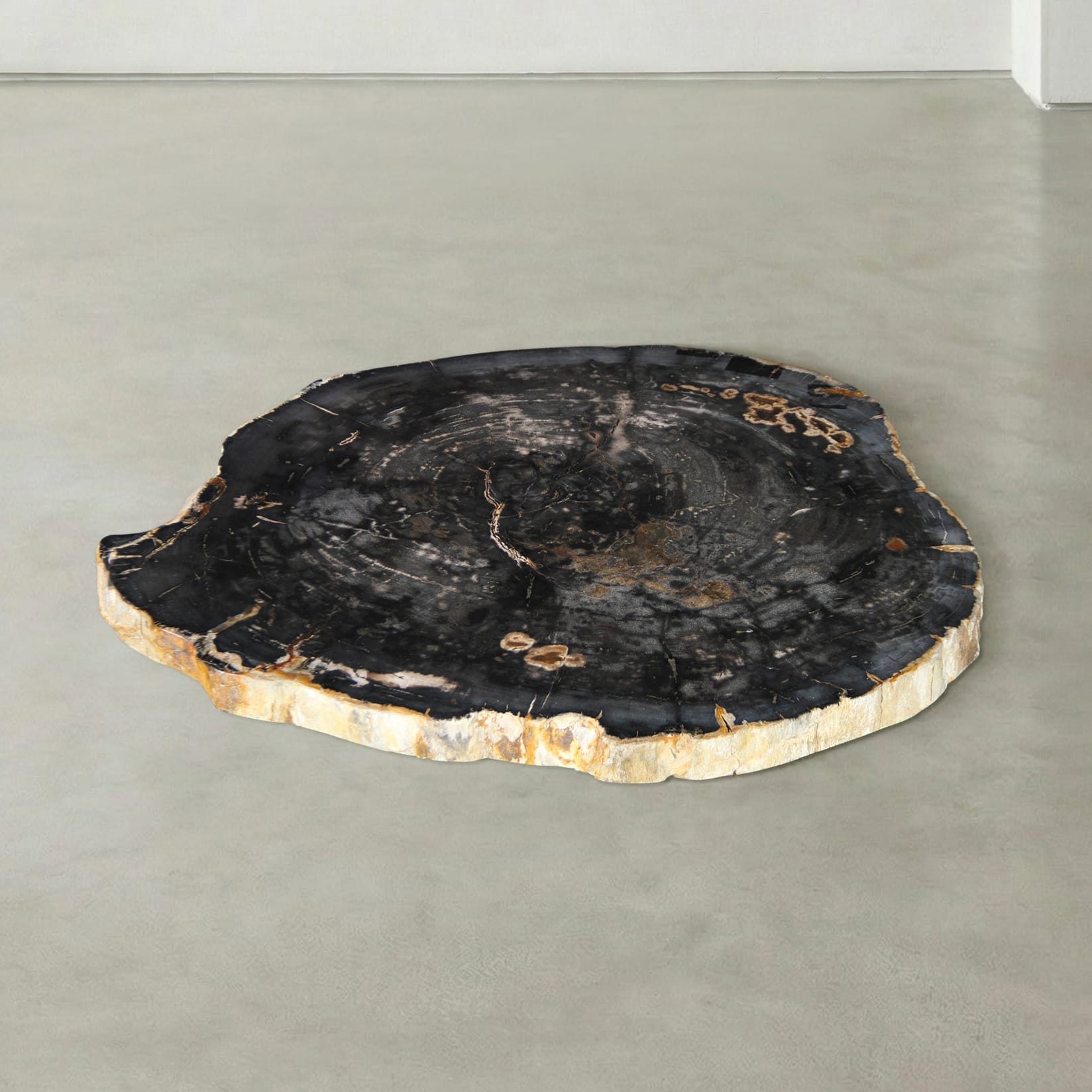 Kalifano Petrified Wood Natural Petrified Wood Round Slab Coffee Table from Indonesia - 33" / 157 lbs PWT6200.006