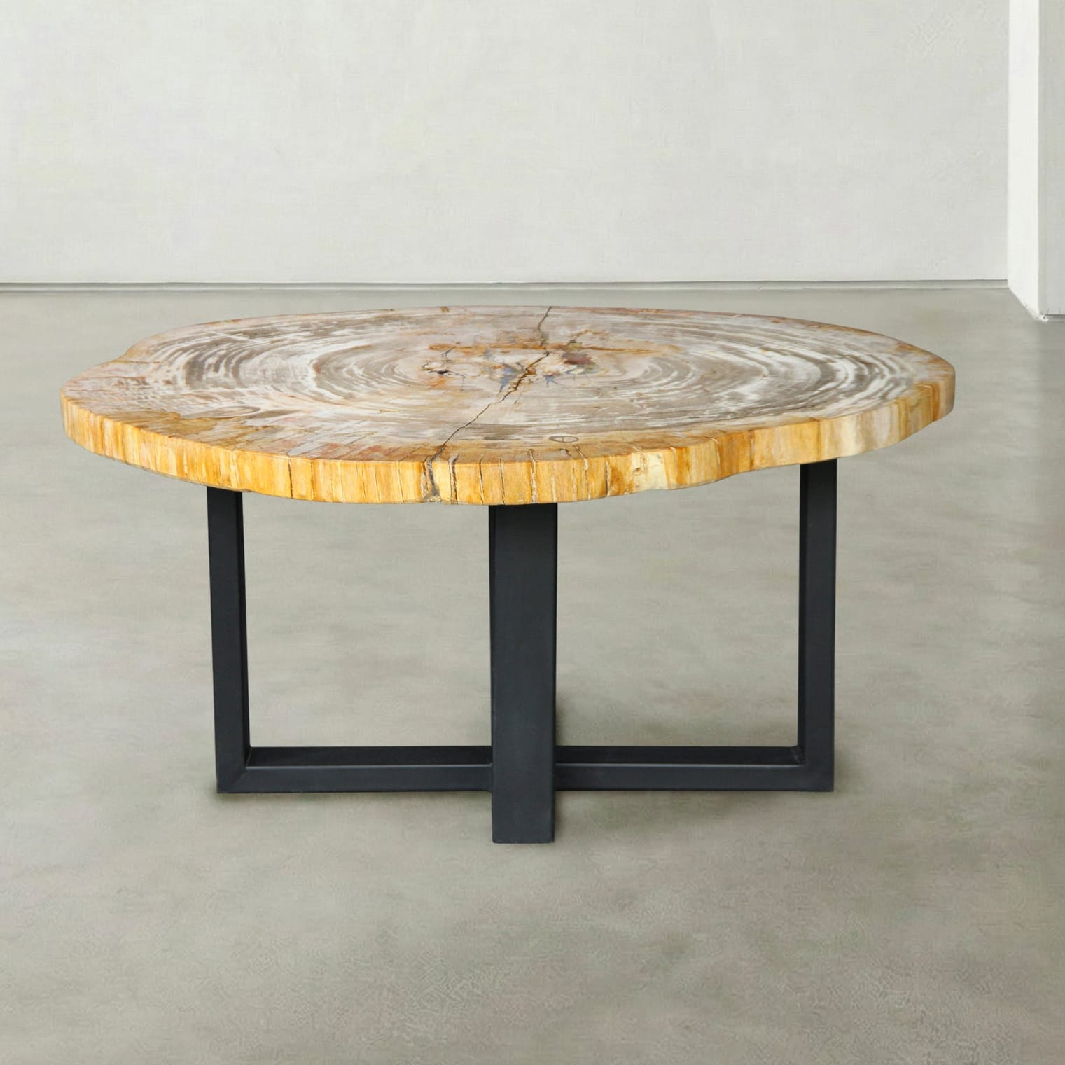 Kalifano Petrified Wood Natural Petrified Wood Round Slab Coffee Table from Indonesia - 33" / 77 lbs PWT3300.001