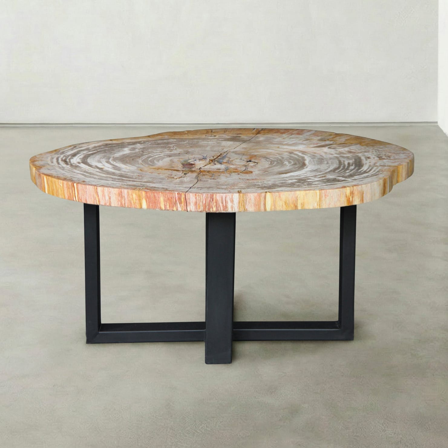 Kalifano Petrified Wood Natural Petrified Wood Round Slab Coffee Table from Indonesia - 33" / 77 lbs PWT3300.001